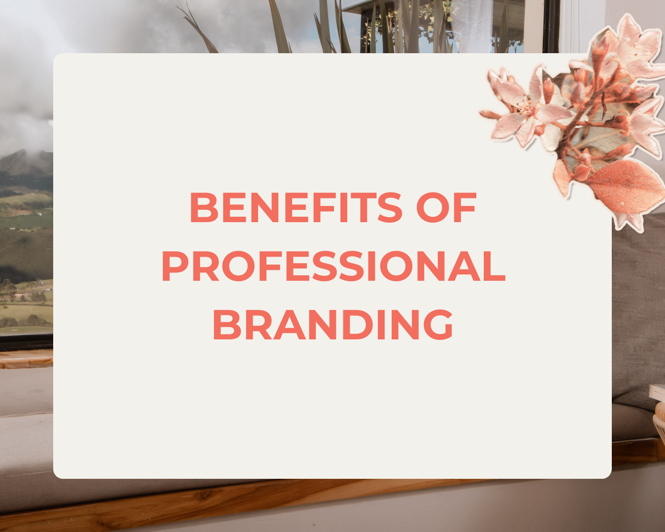 6 Benefits of Hiring a Professional Brand Designer