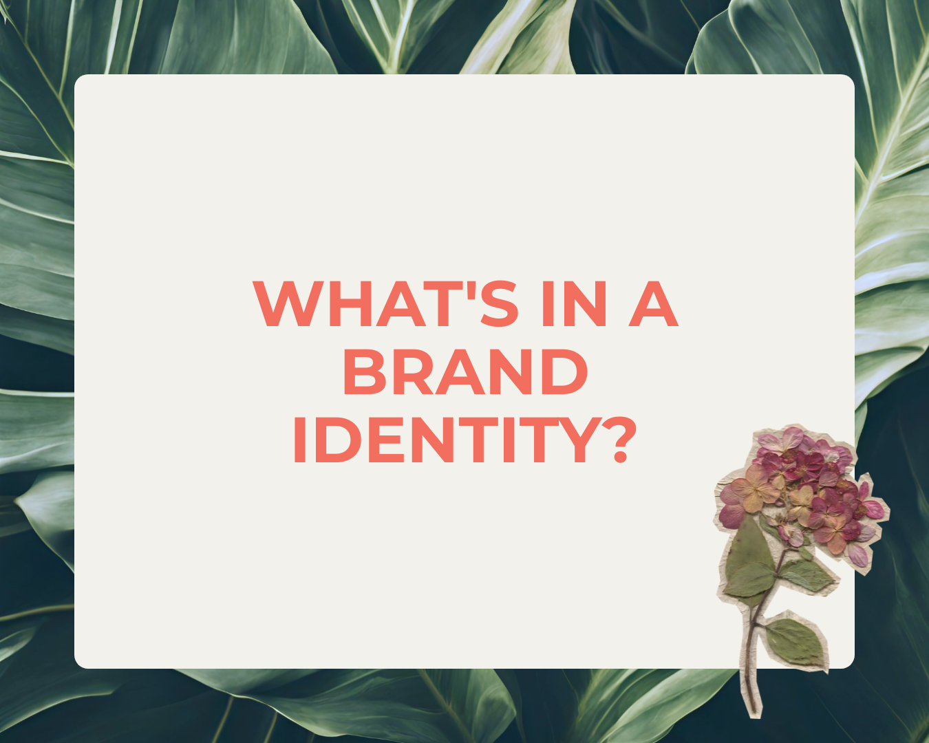 What's Actually in a Brand Identity? A Small Business Owner's Guide to Knowing What You Need