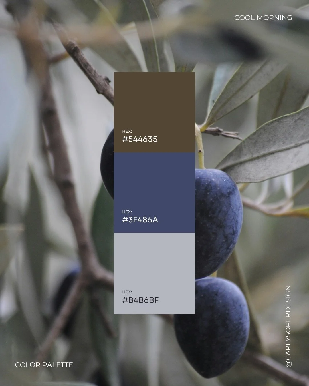 Color palette inspiration 🎨  #branddesign #graphicdesign