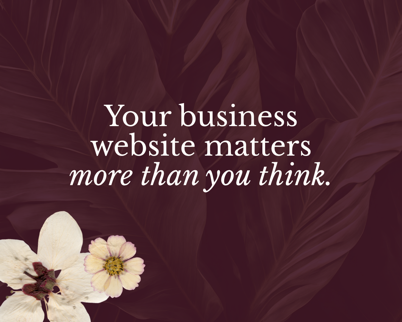 Nobody Looks at My Website (Another Expensive Lie We Tell Ourselves)
