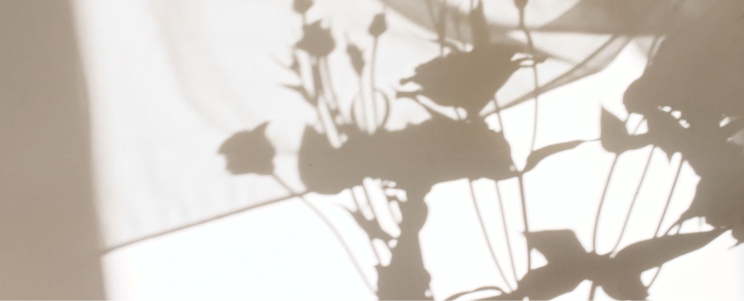 Screenshot for video on web design page.png