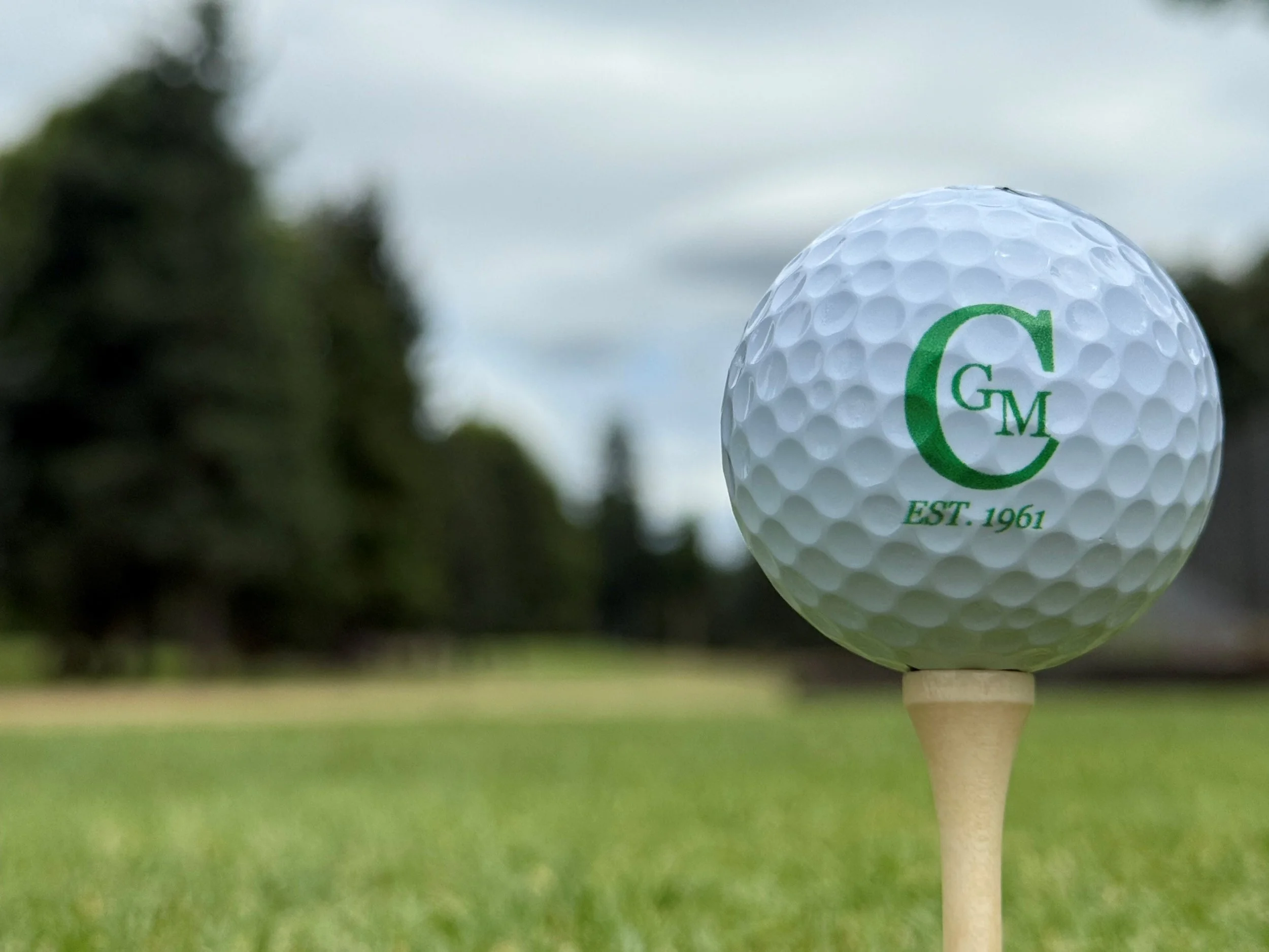 Close-up of a golf ball on a tee with green logo and text, set on a golf course with grass and trees in the background during daytime.