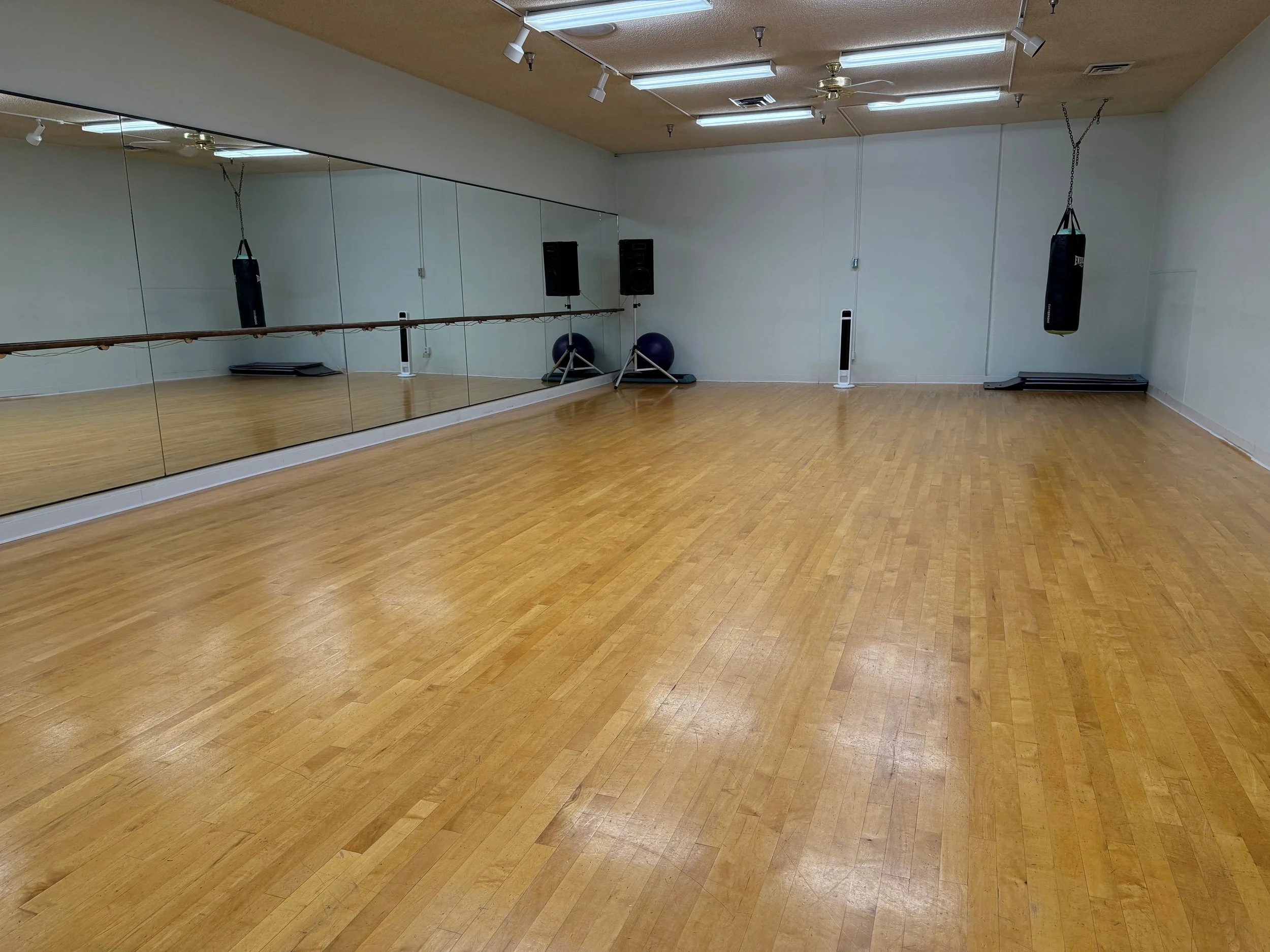 An empty dance or exercise studio with wooden flooring, mirror wall, hanging punching bag, exercise balls, stacked weights, and audio equipment.