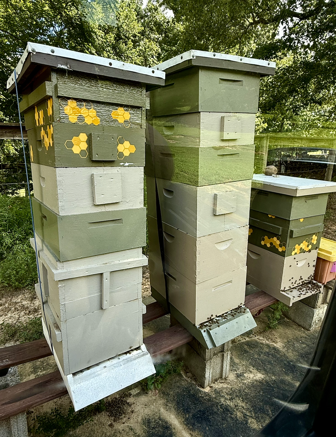 Community Hive