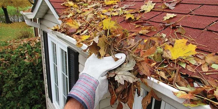 Fall / Winter Home Preparations 101