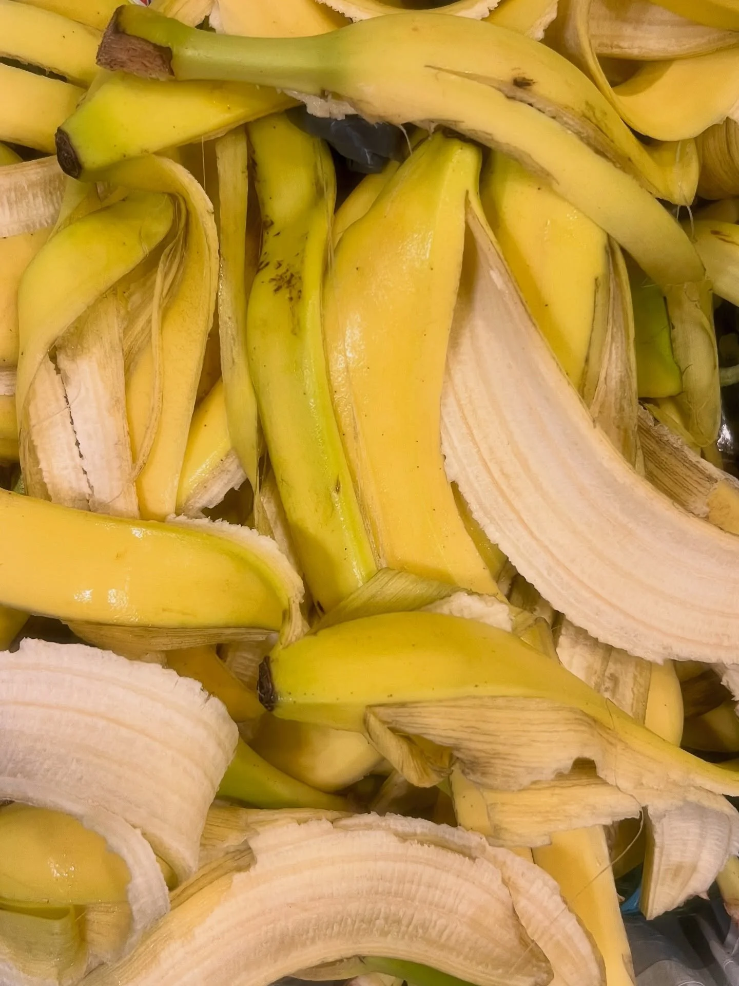 Welcome to the Banana Peel Graveyard. Where the yucky parts are buried, the good stuff is prepped, and the end results in a banana bar in hand. 

Cheers to leading a dipped banana life!