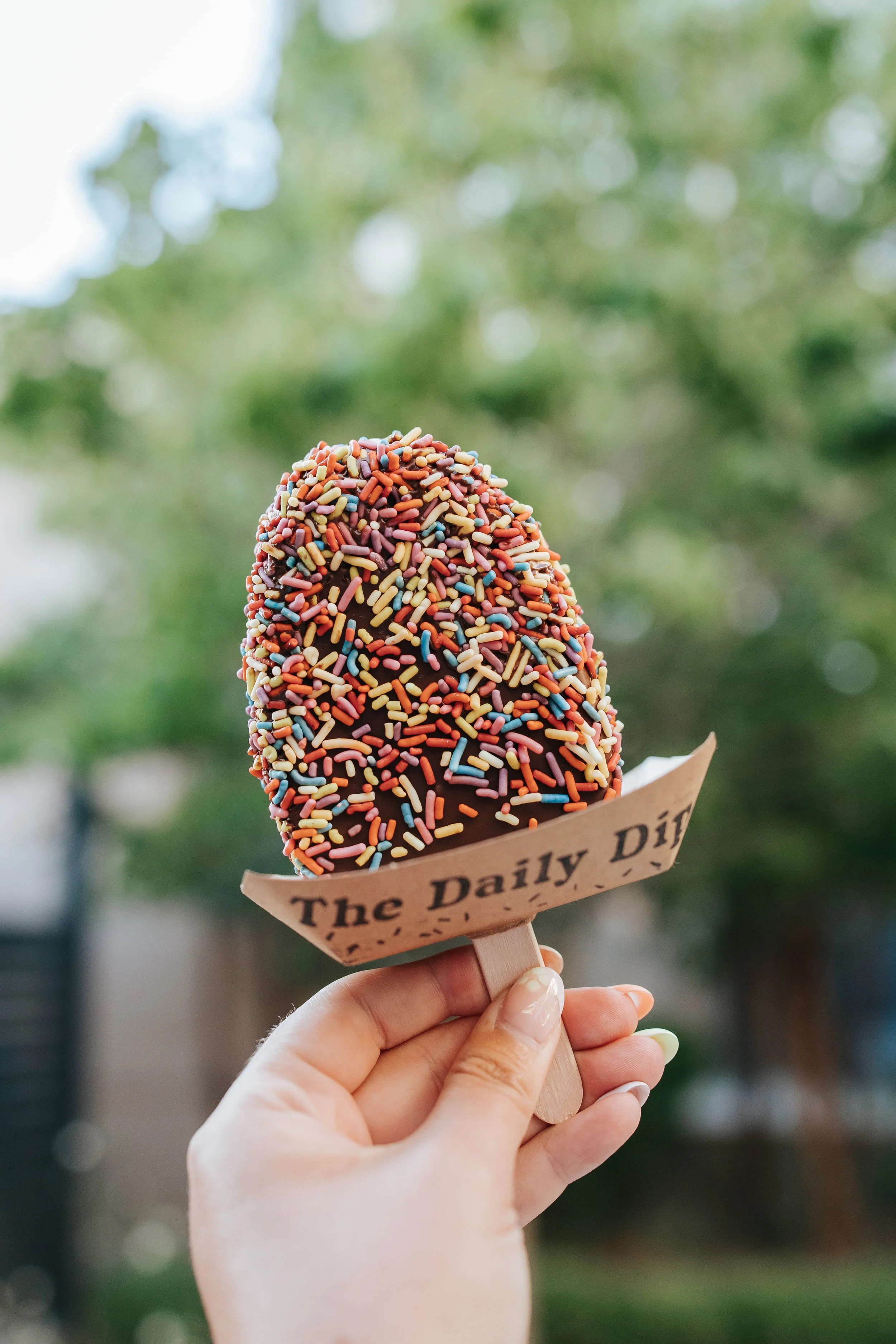 A hand holding a chocolate-covered ice cream bar decorated with colorful sprinkles.