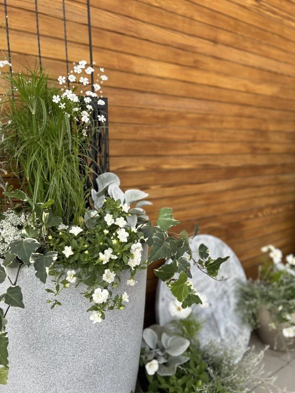 calgary-alberta-gardener (8).jpeg