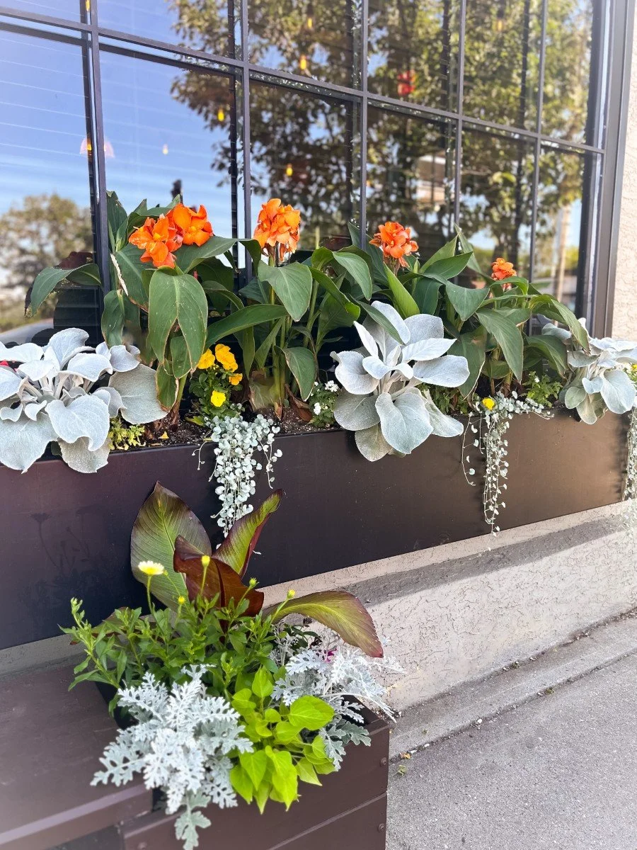 Calgary-Gardening-Services (6).jpg