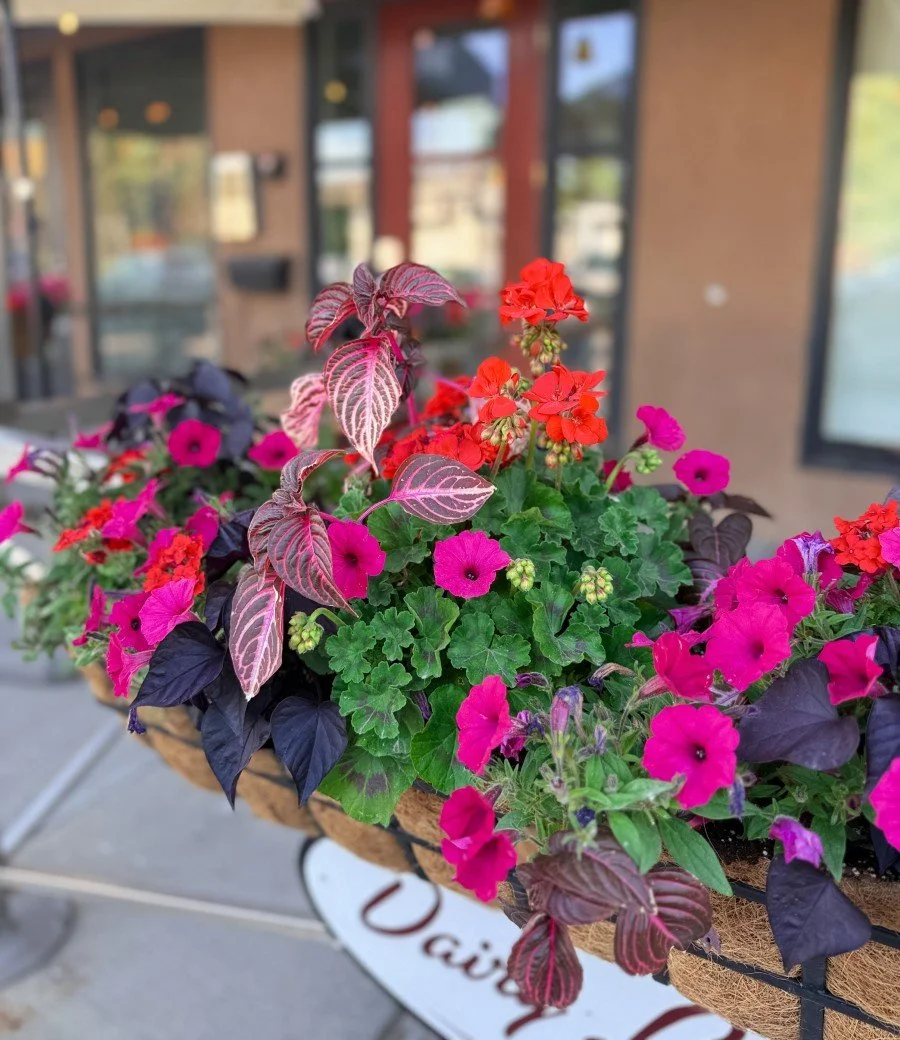 Calgary-Gardening-Services (5).JPG