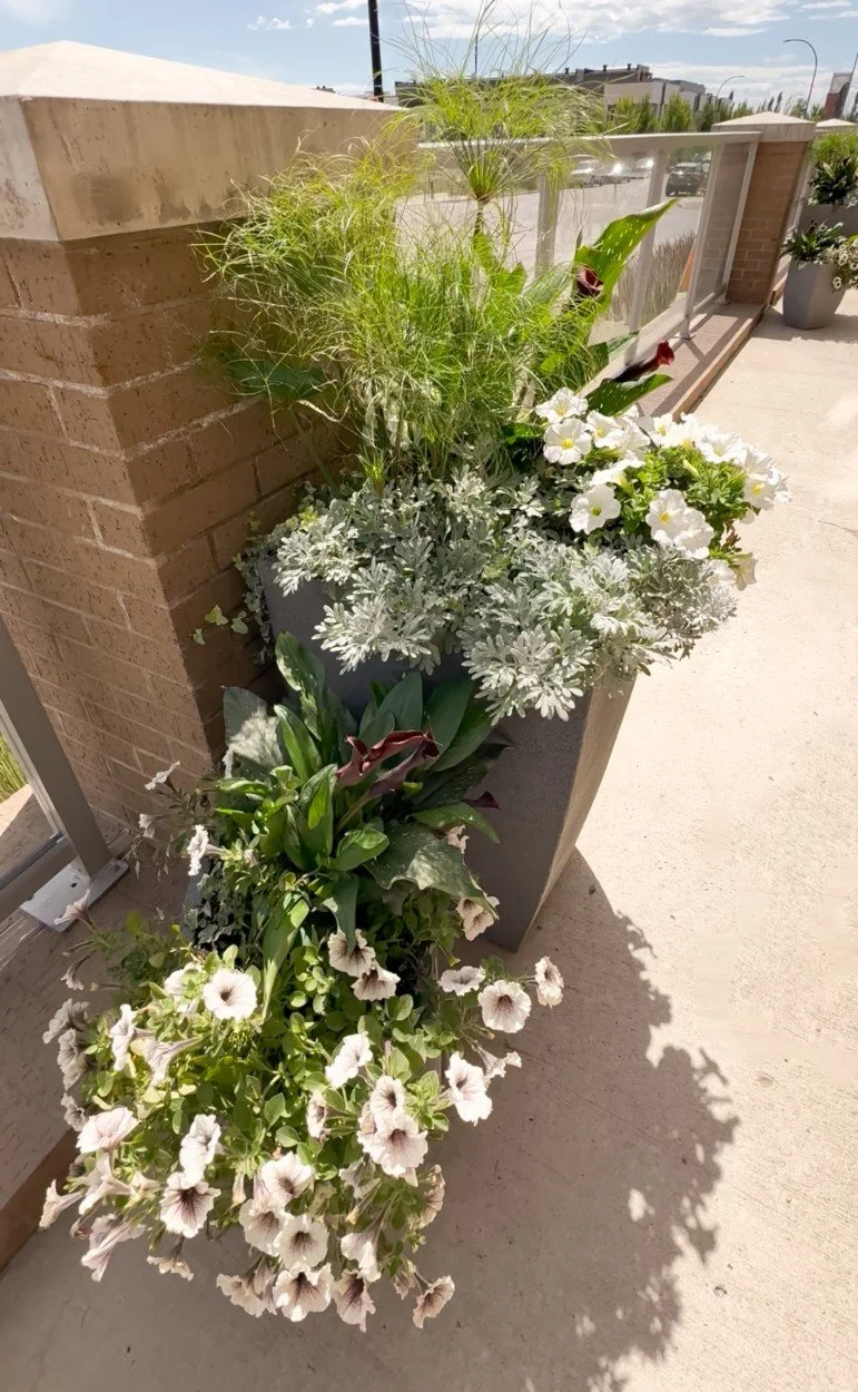 Calgary-Gardening-Services (3).JPG