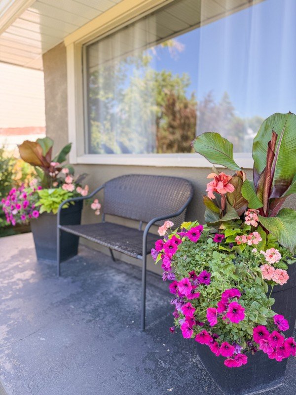 calgary-alberta-gardener (31).JPG