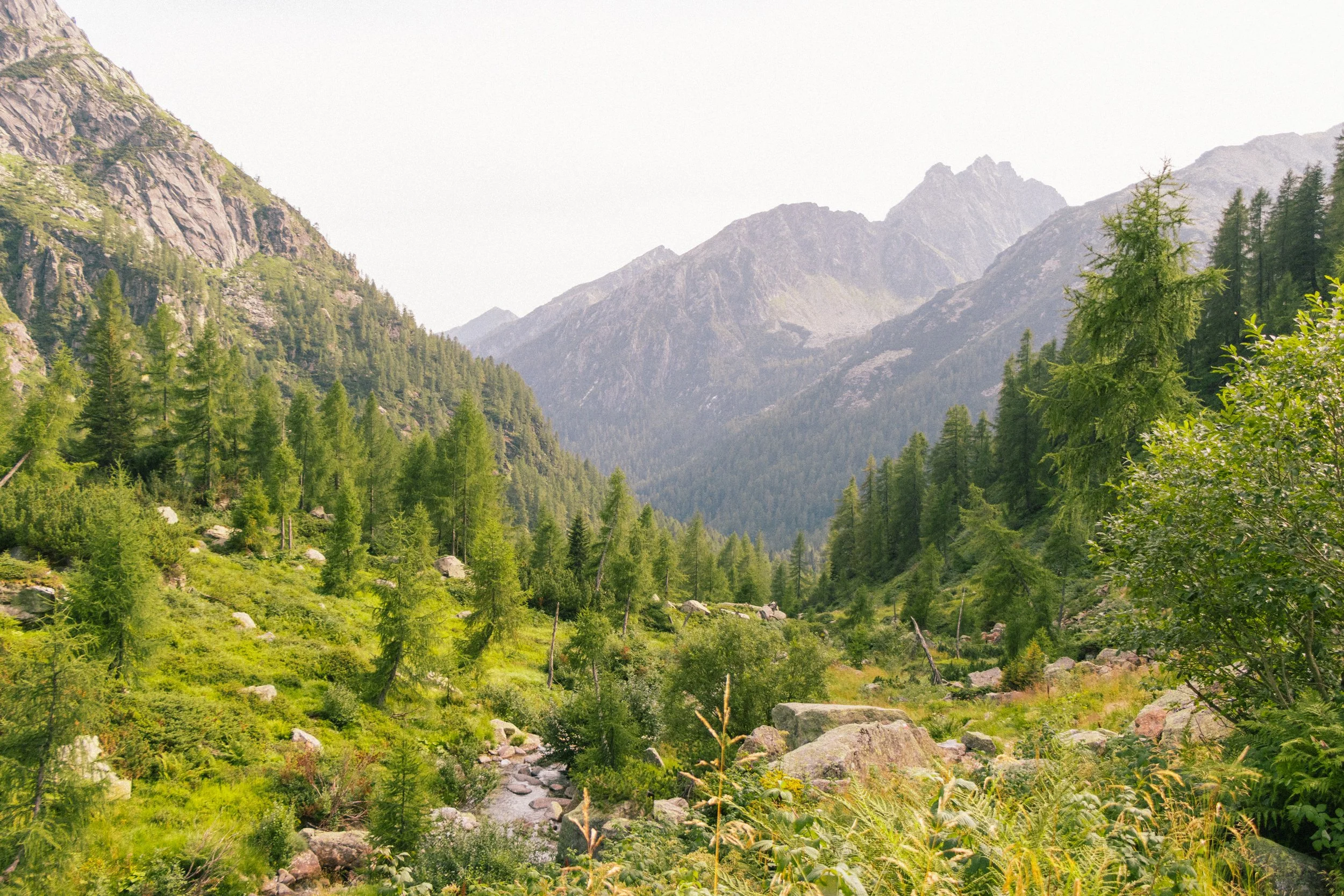 Italie vakantie 2024-20.JPG