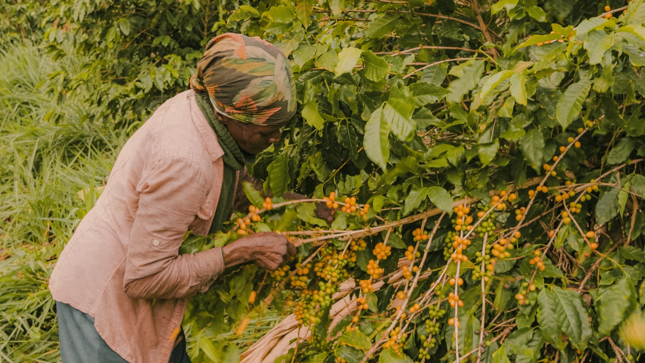 Brazilië - extra's-11.jpg