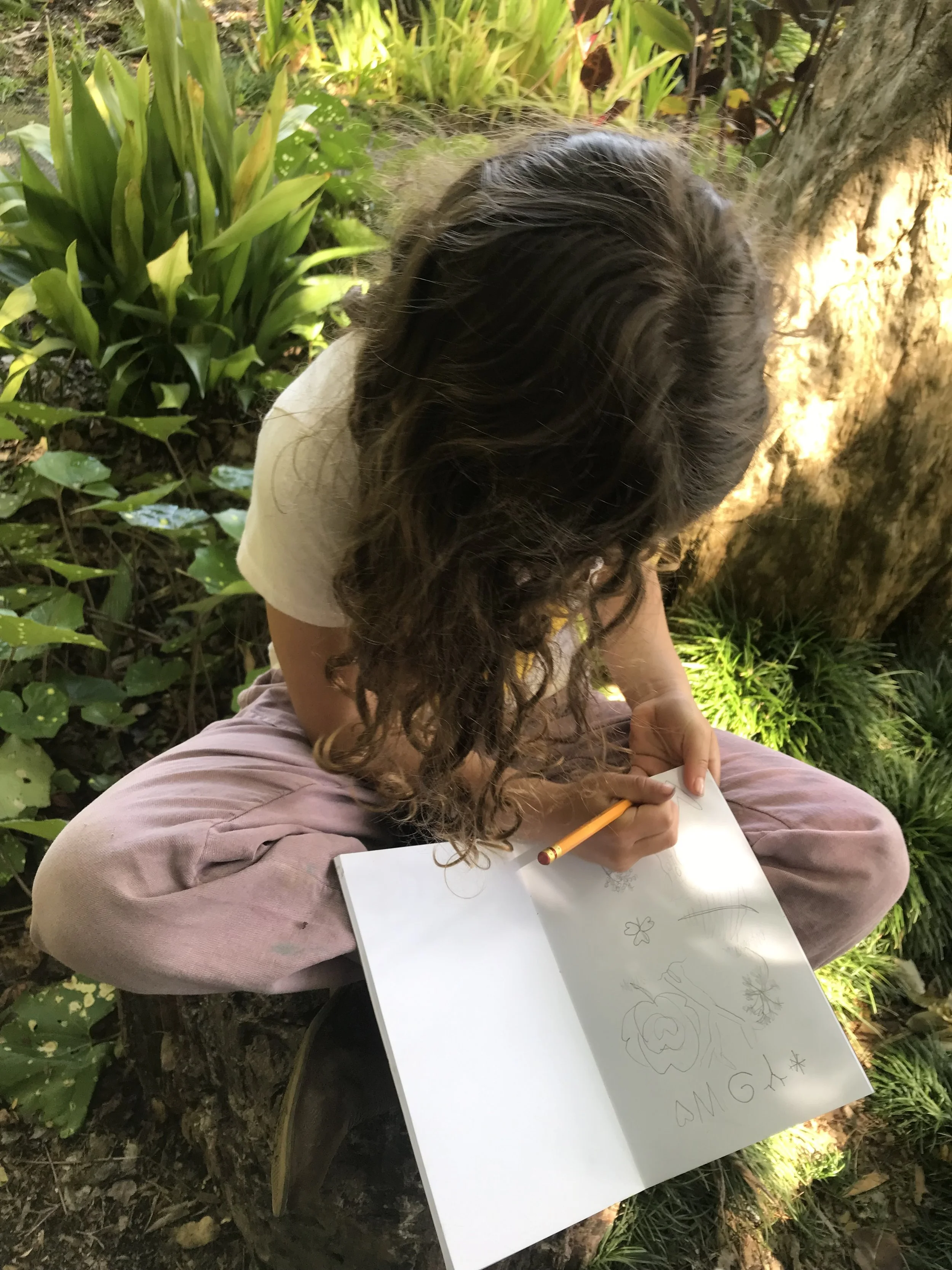 Grounding Word Analysis Through Nature Journaling