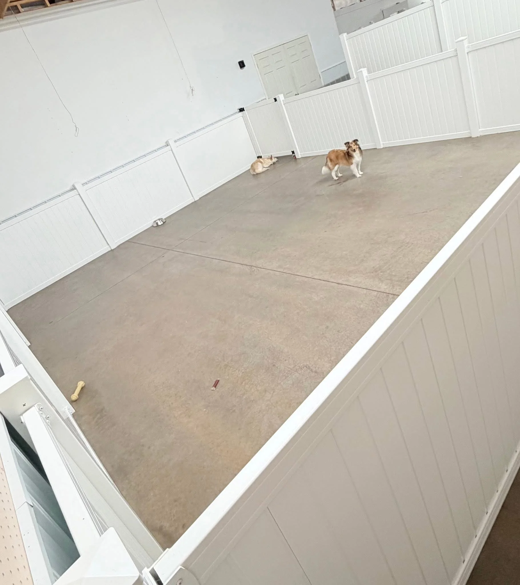 Small dog play area