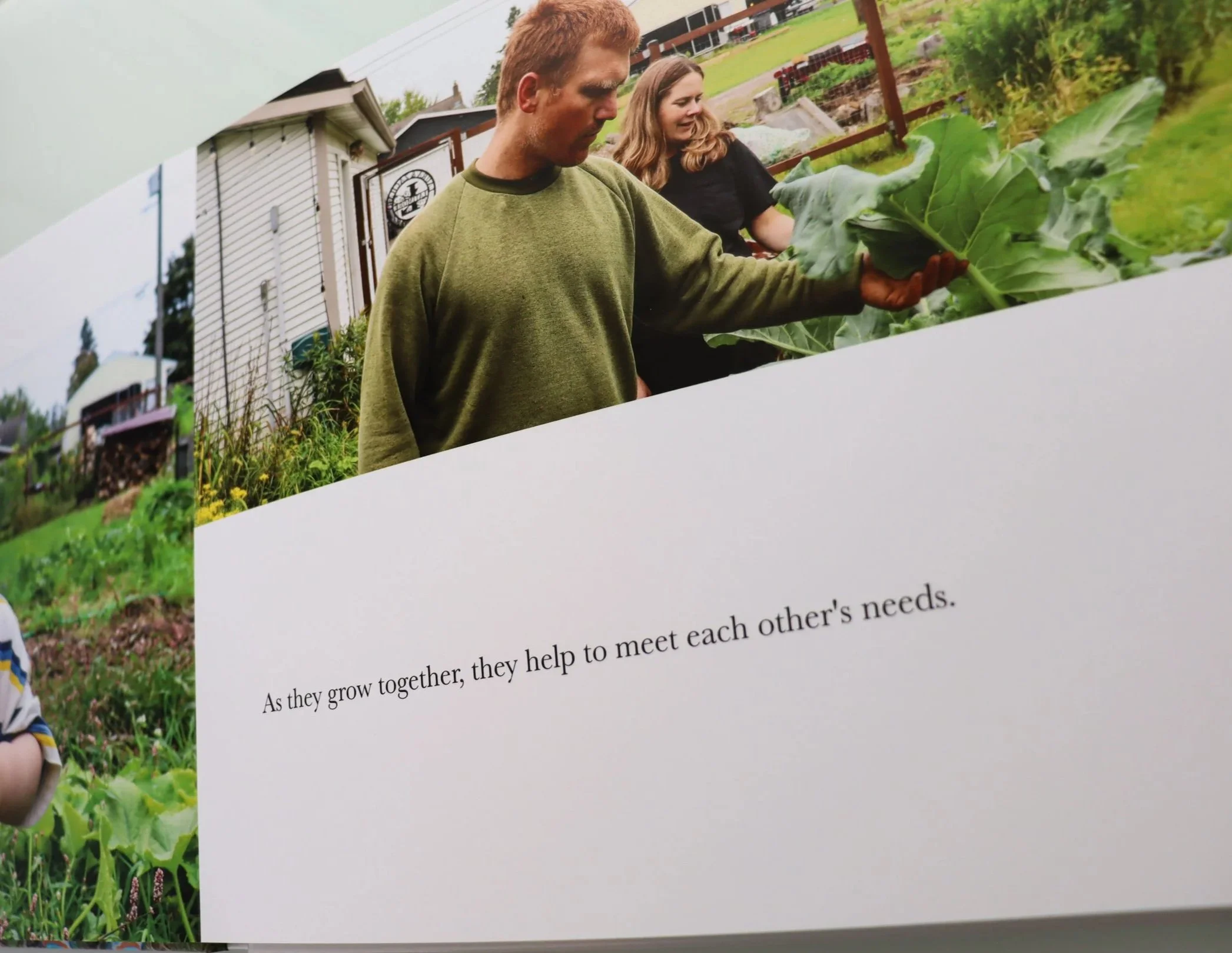 A man and a woman outdoors, looking at large green leaves. The background shows a house, a fence, and a grassy yard.