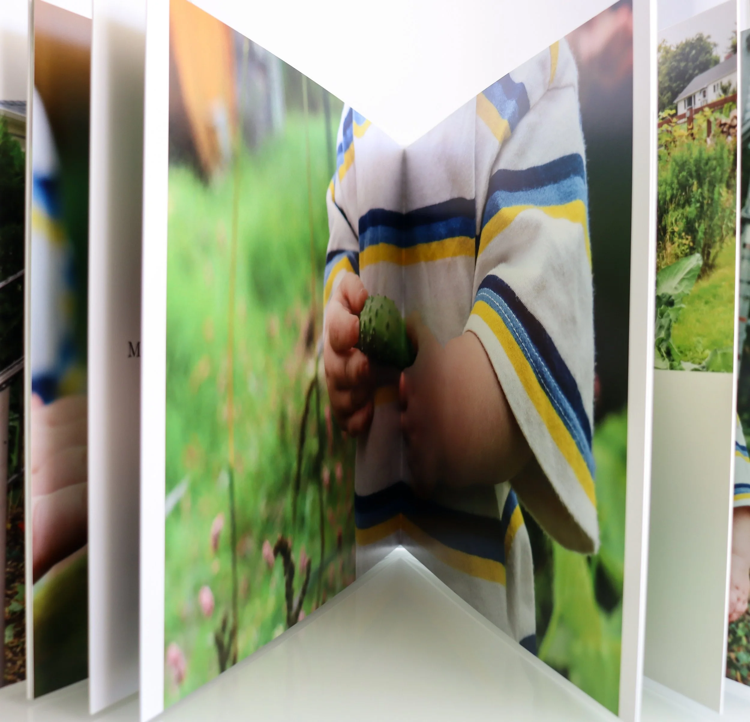 Multiple photo prints displayed in a book, including a close-up of a child in a striped shirt holding a small cucumber.