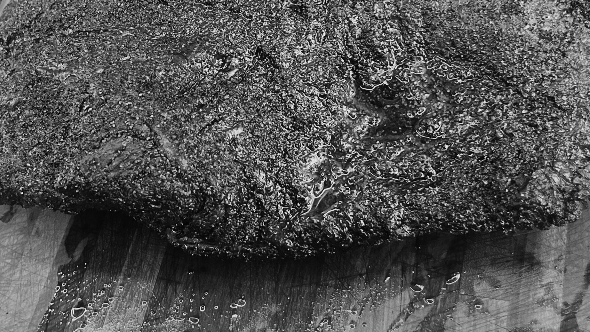 What Makes Great Brisket? The 5 Things Most Beginners Get Wrong