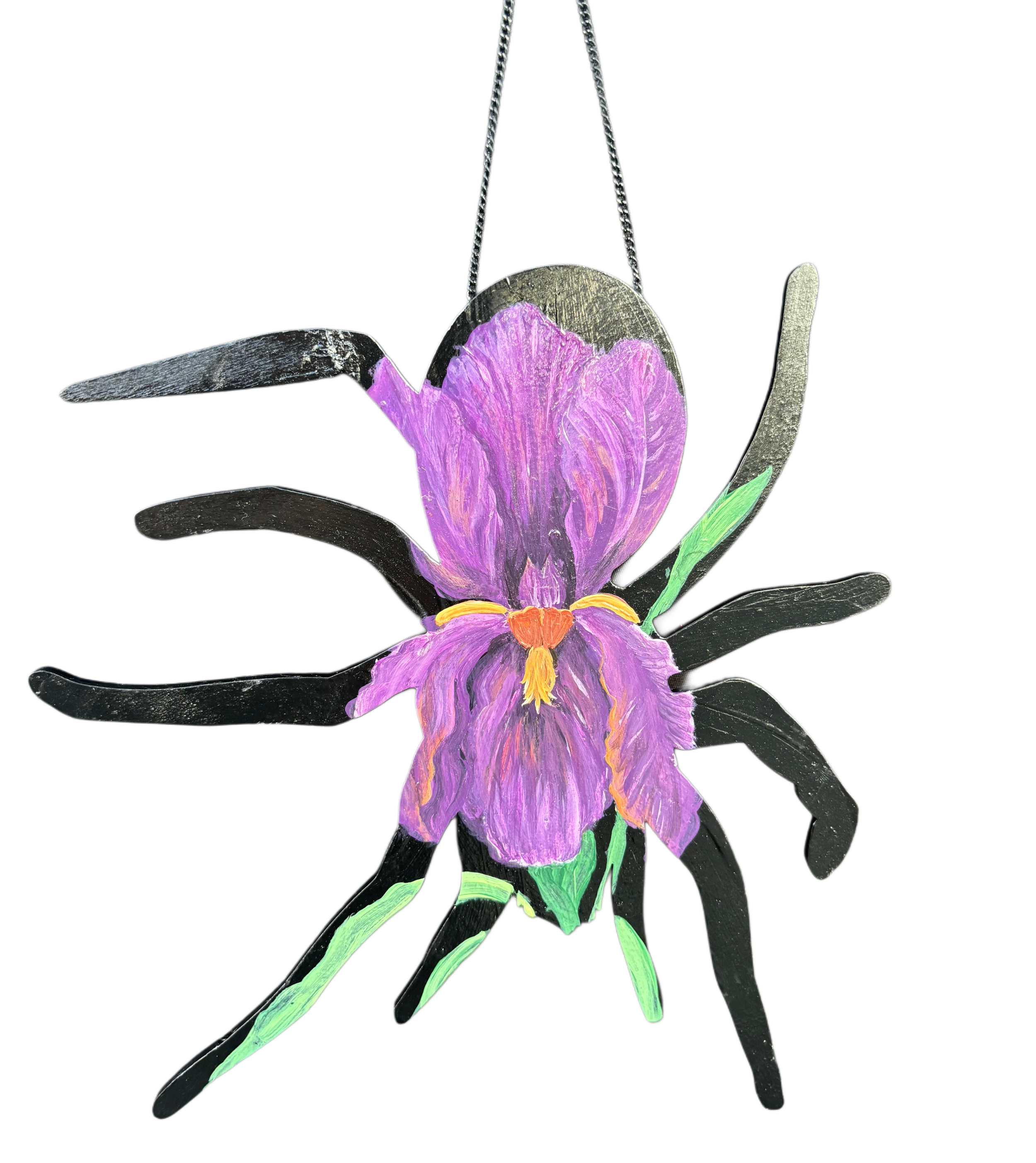 The Iris Spider