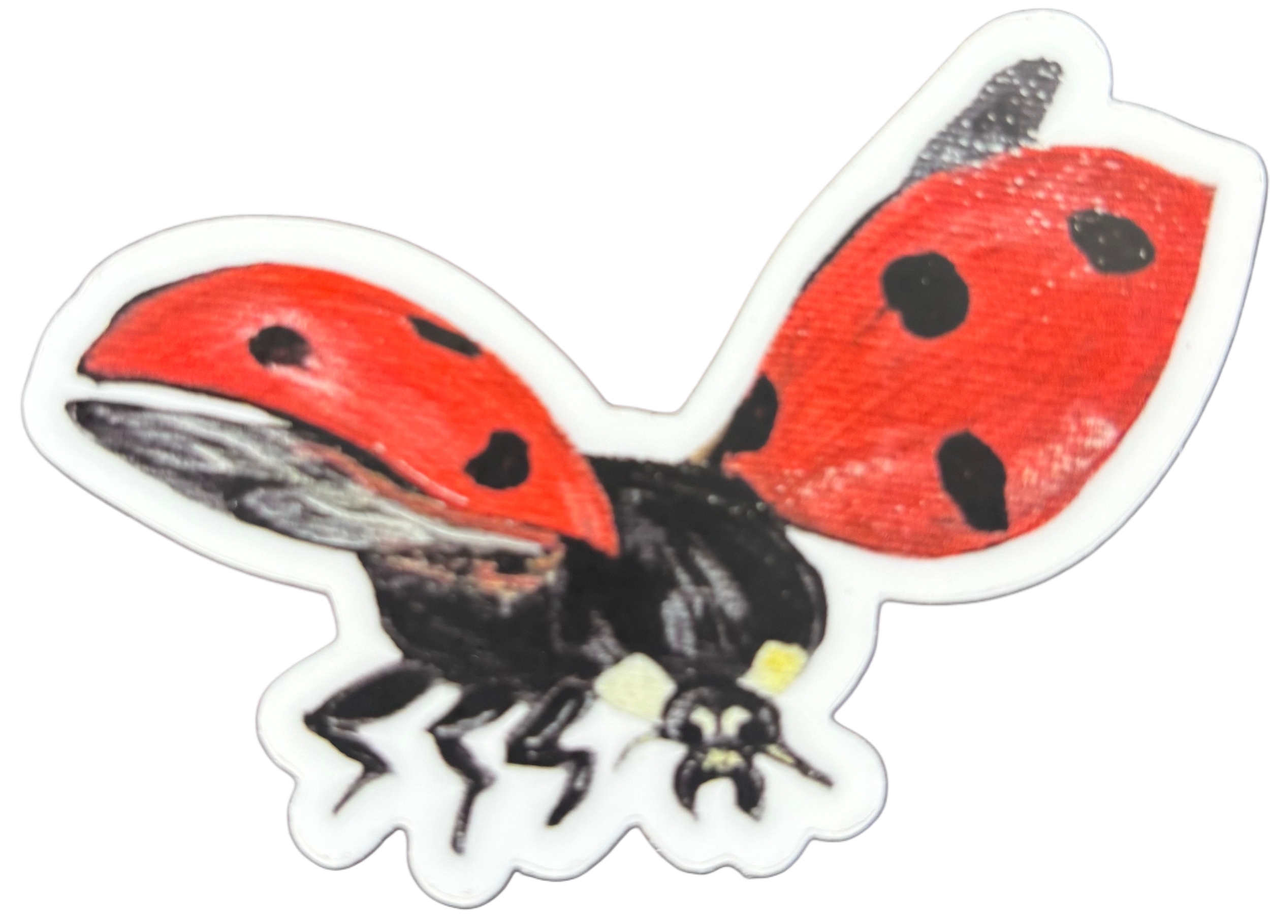 977A11B3-4F39-4899-BF4B-B0BC5E4CF62C.png