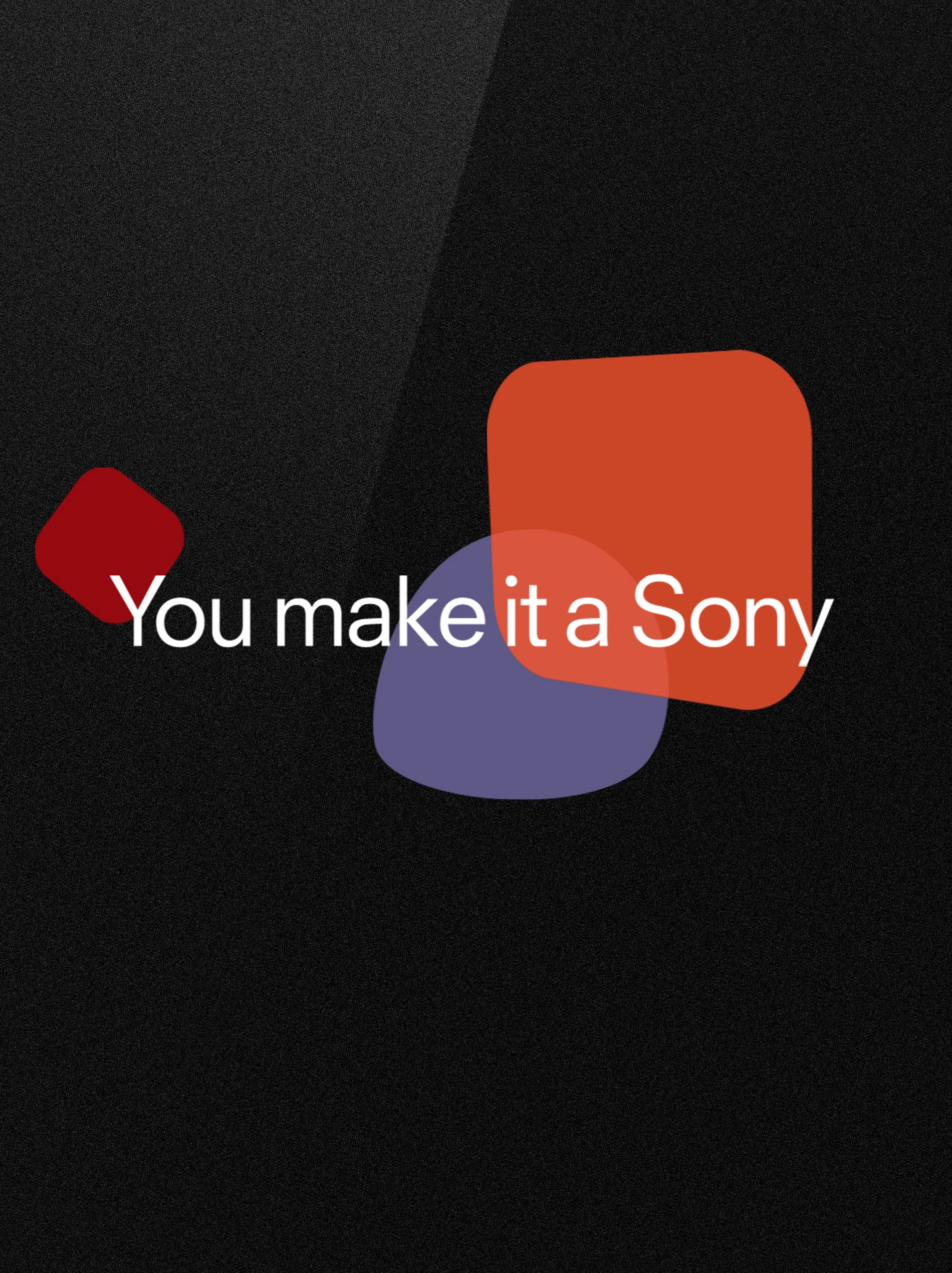 sony_01.jpg