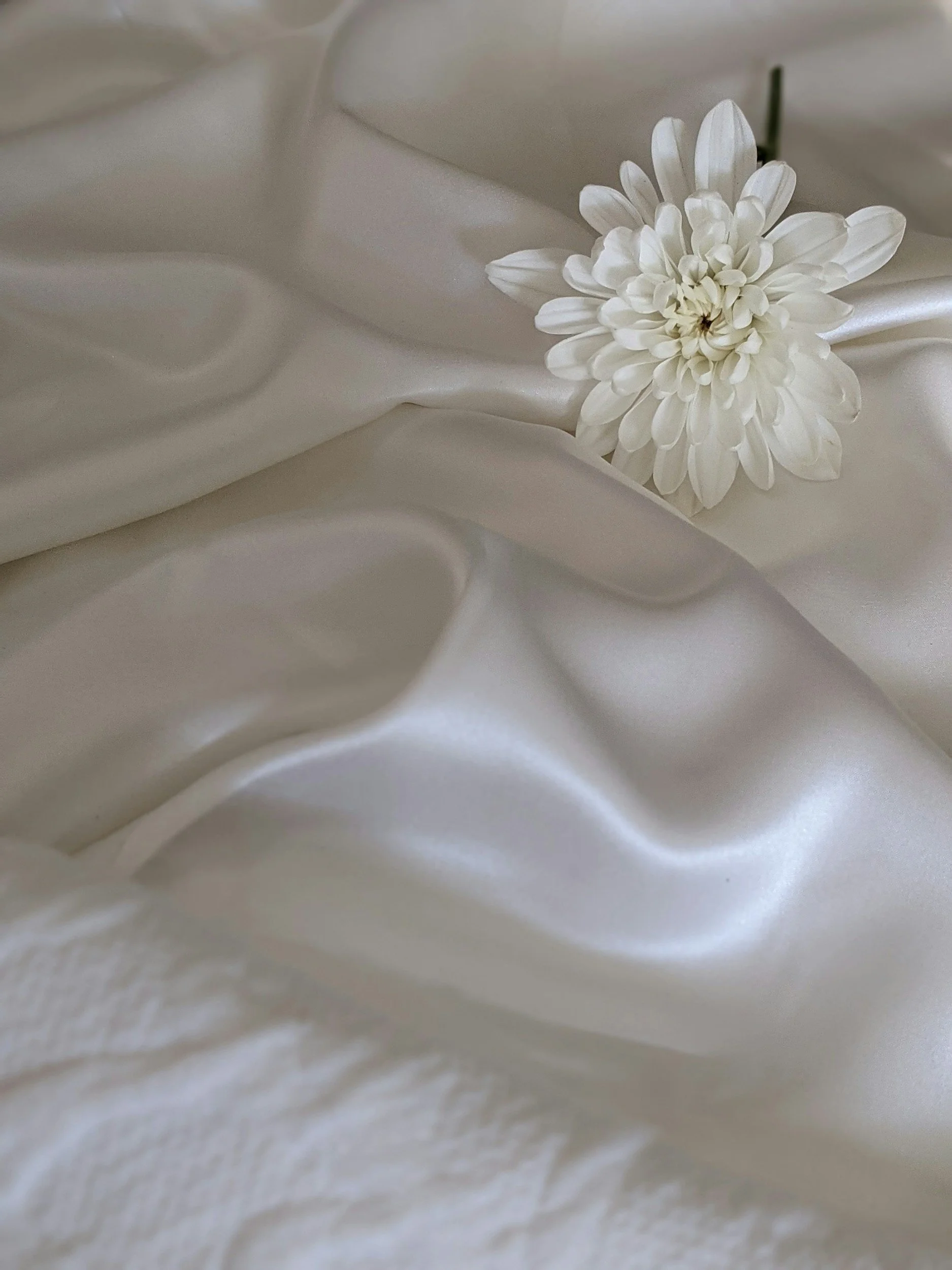 Fresh Linens