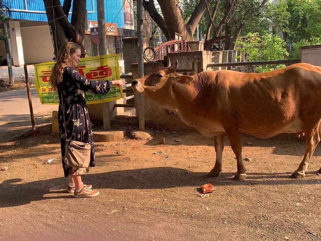 Kristin and the Cow.jpeg