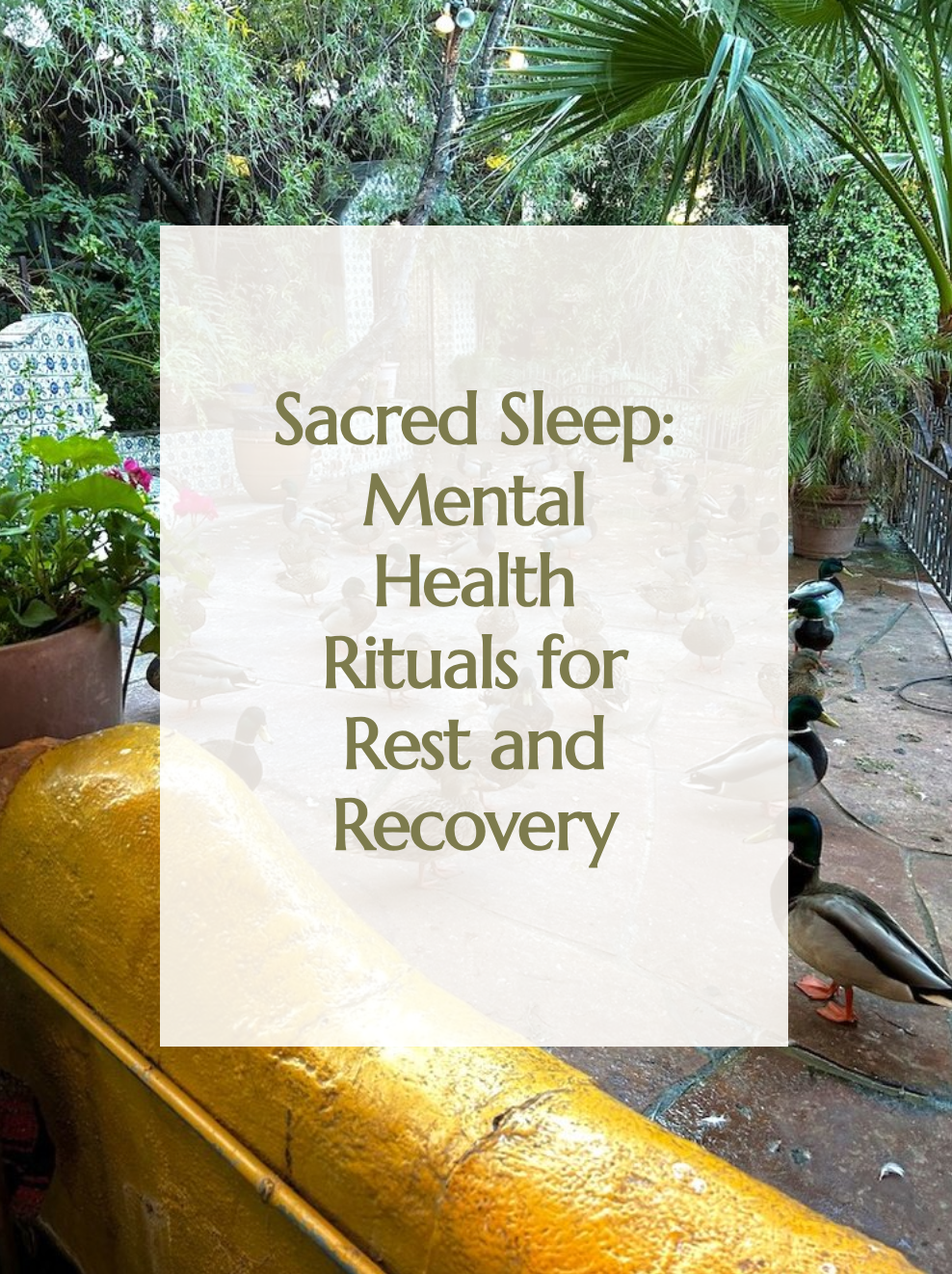 Sleep Rituals for Rest and Recovery