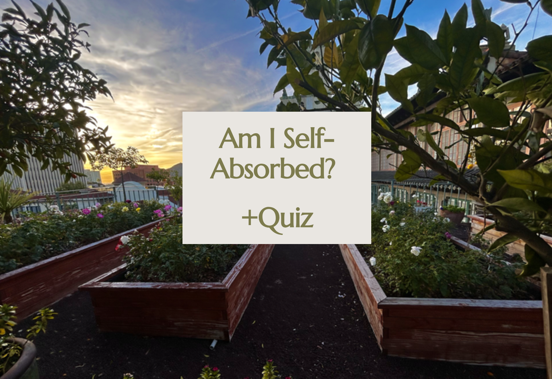Are You More Self-Absorbed Than You Thought? | Self-Awareness, Self-Sabotage, and Personal Growth Quiz