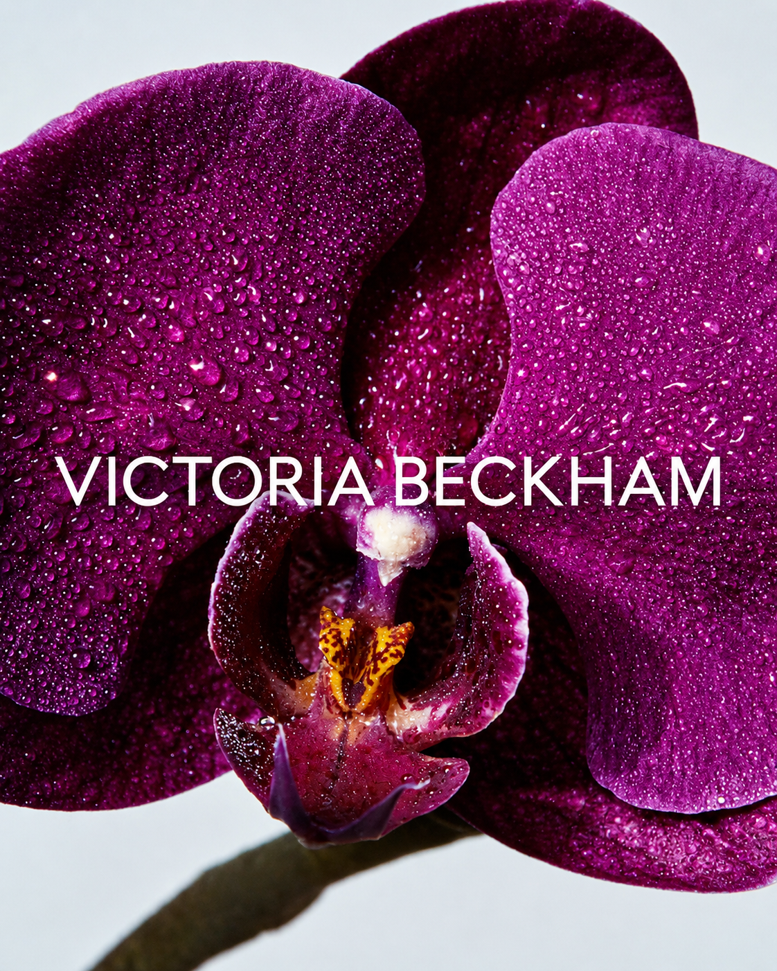 Victoria Beckham Beauty
