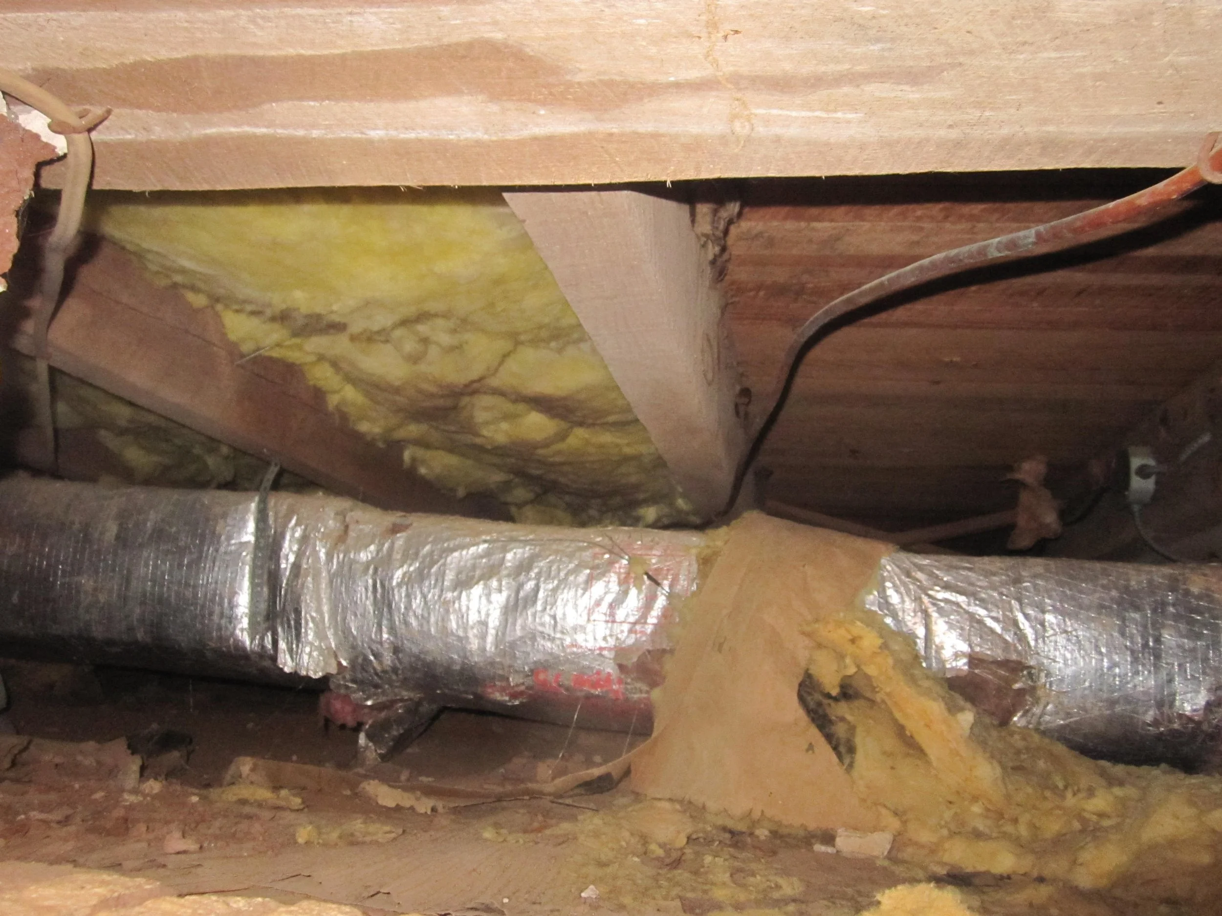 crawlspace1.JPG