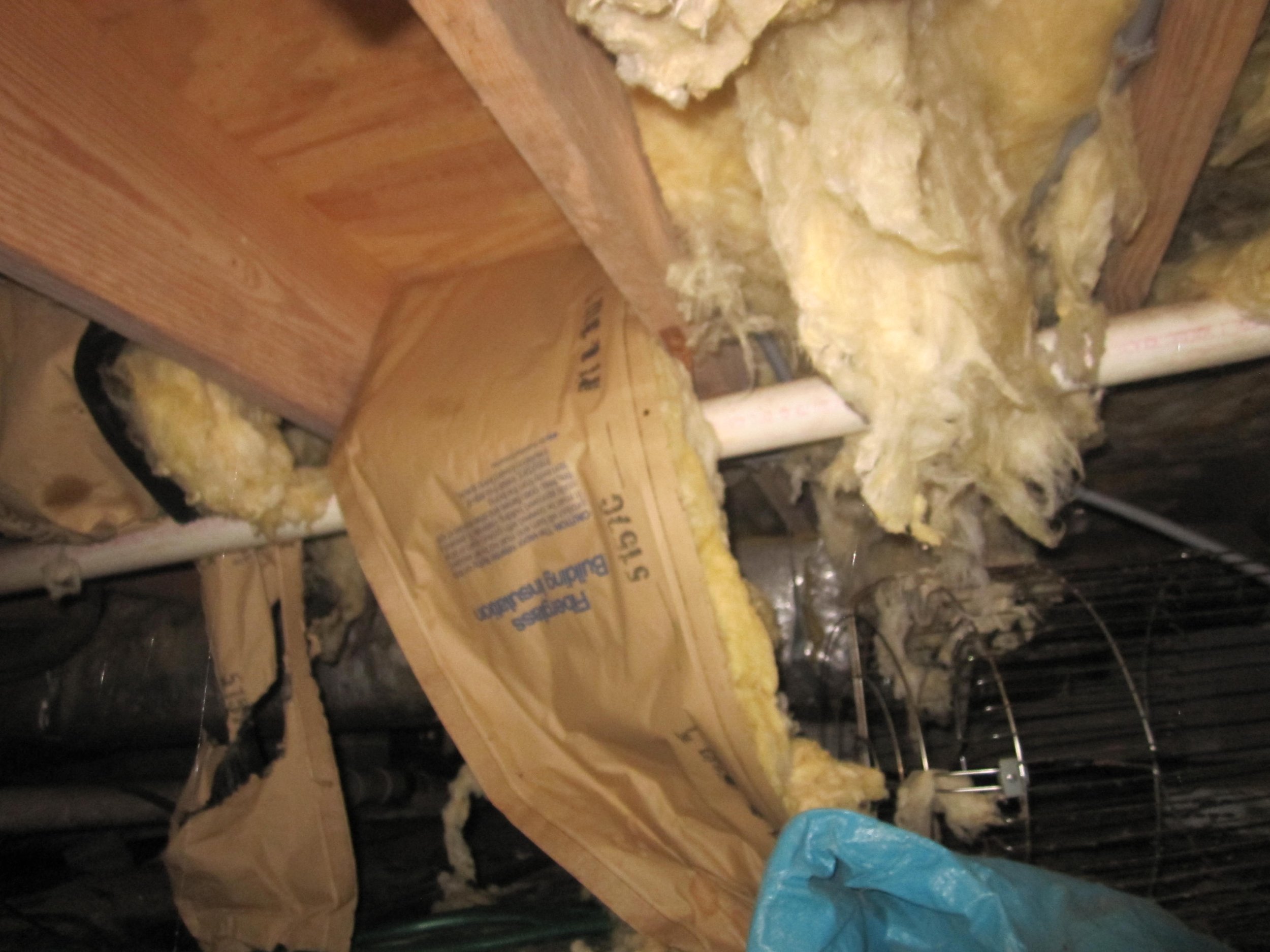 crawlspace5.JPG