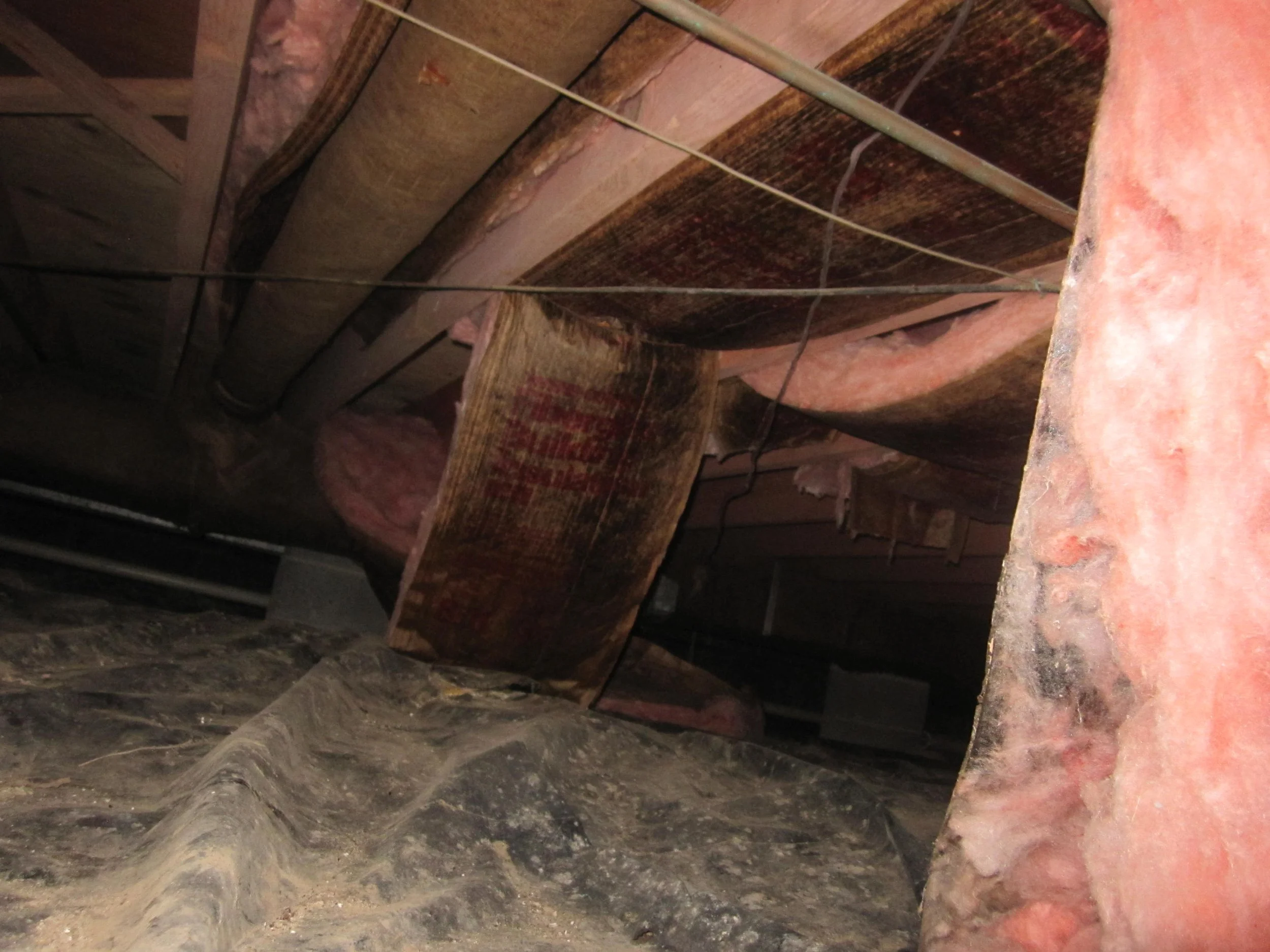 crawlspace9.JPG