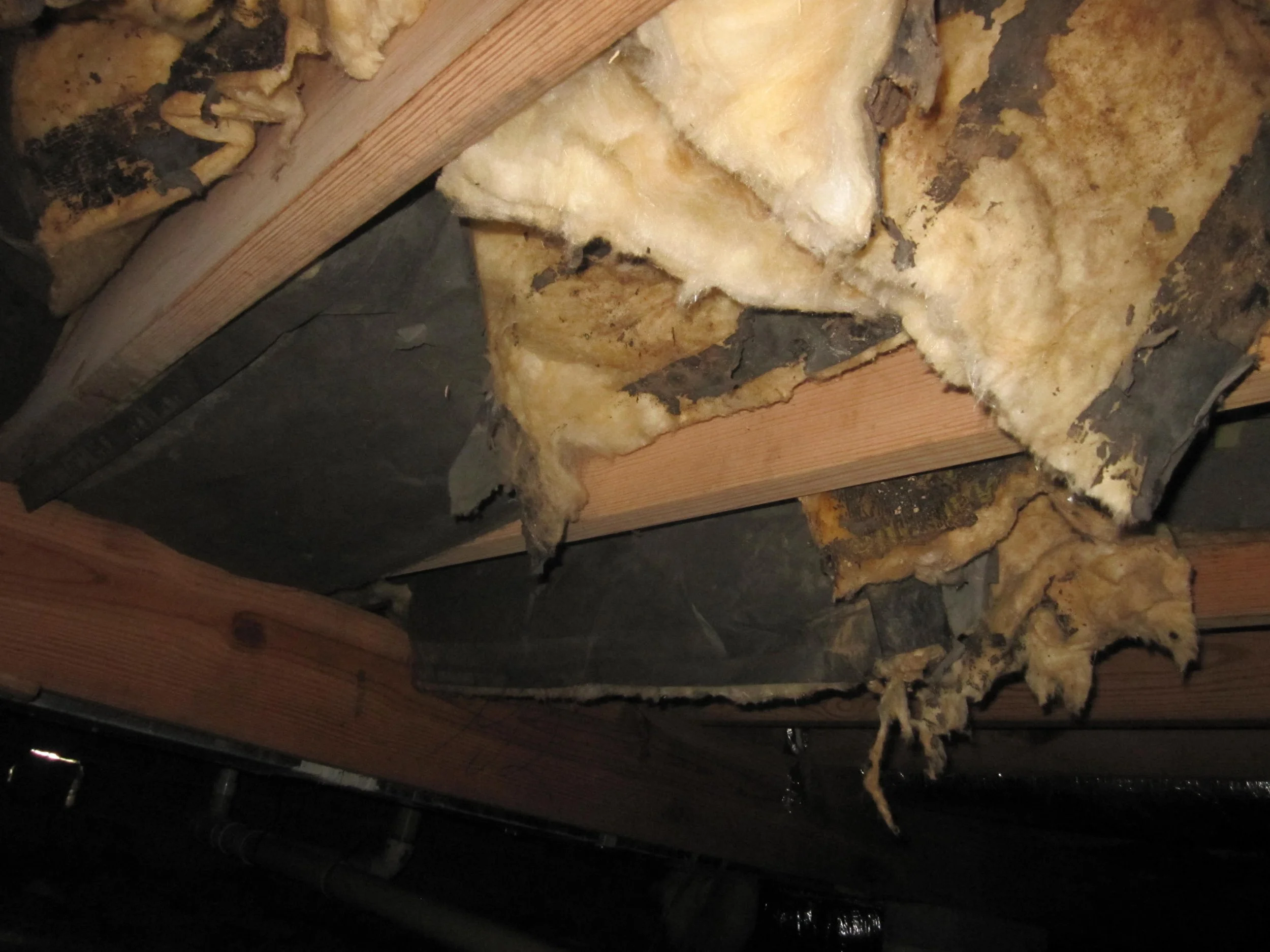 crawlspace10.JPG