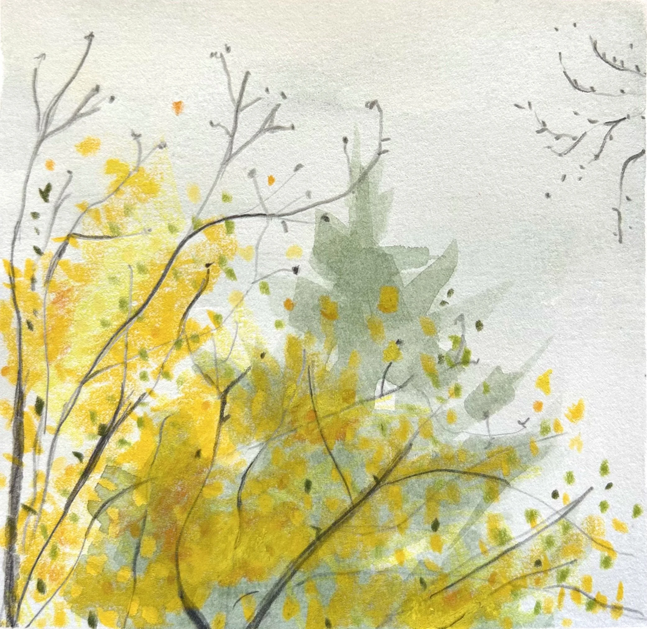  First Green is Gold, 5x5, watercolor on paper 