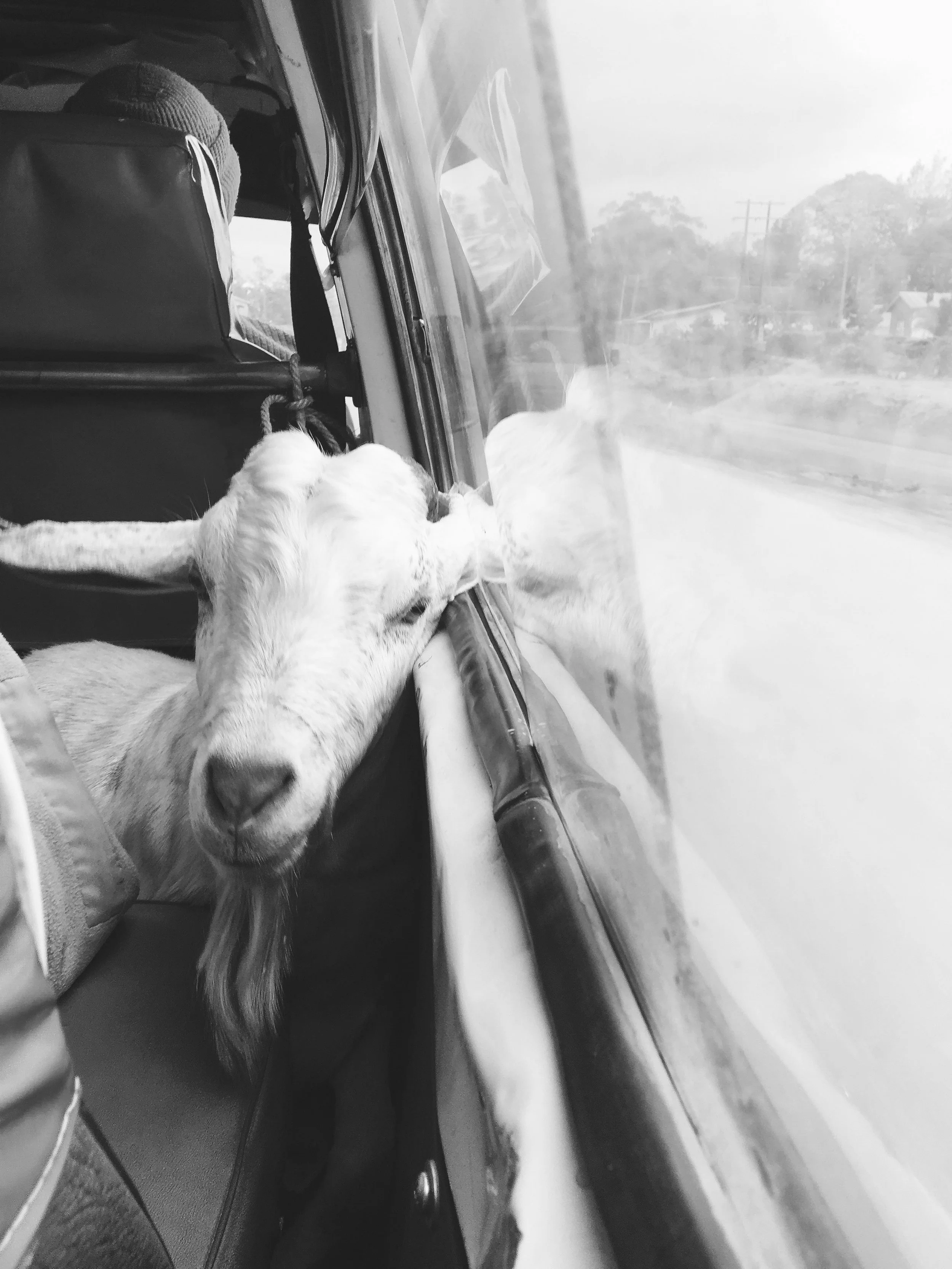 Arusha, Tanzania, 2016