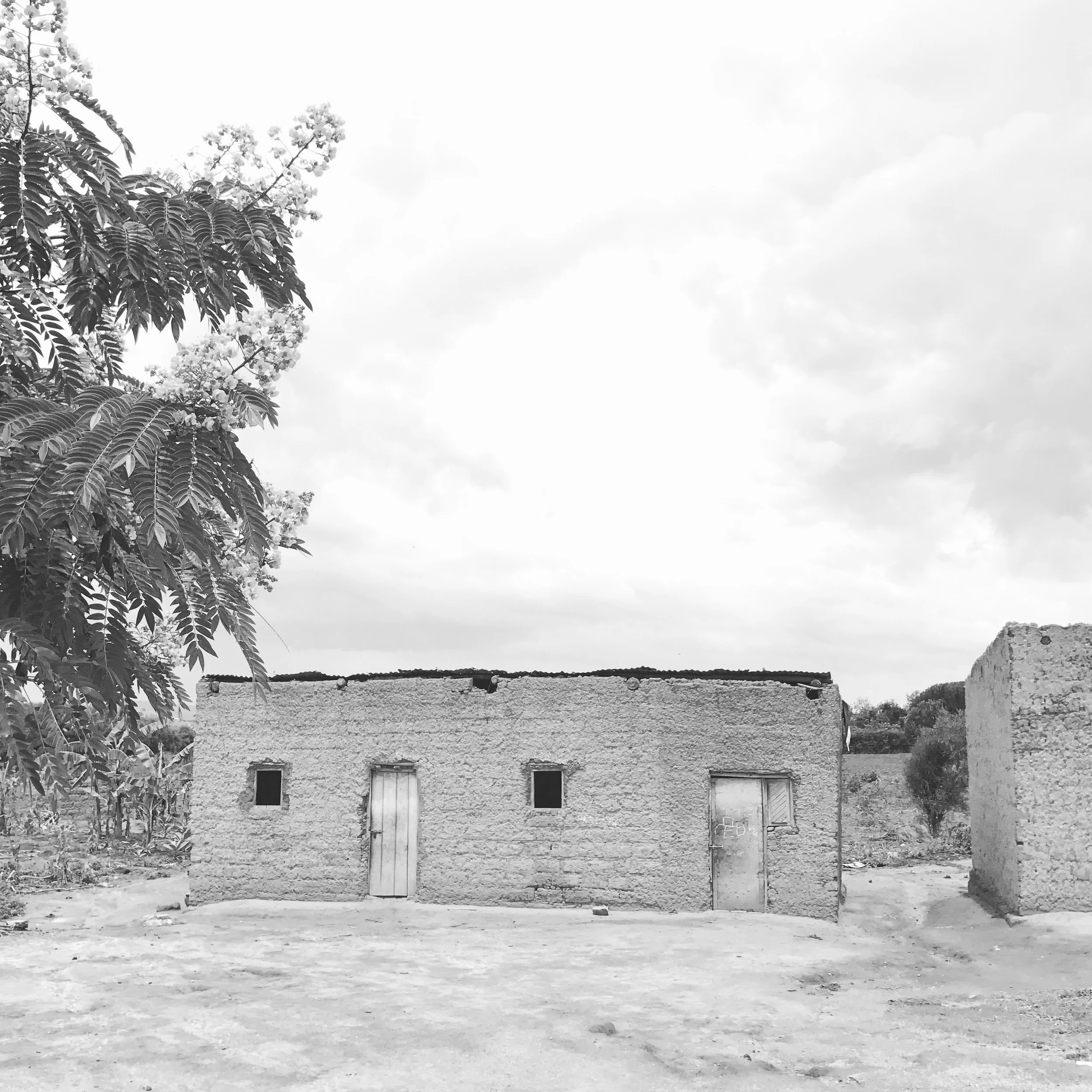 Website-12.jpg