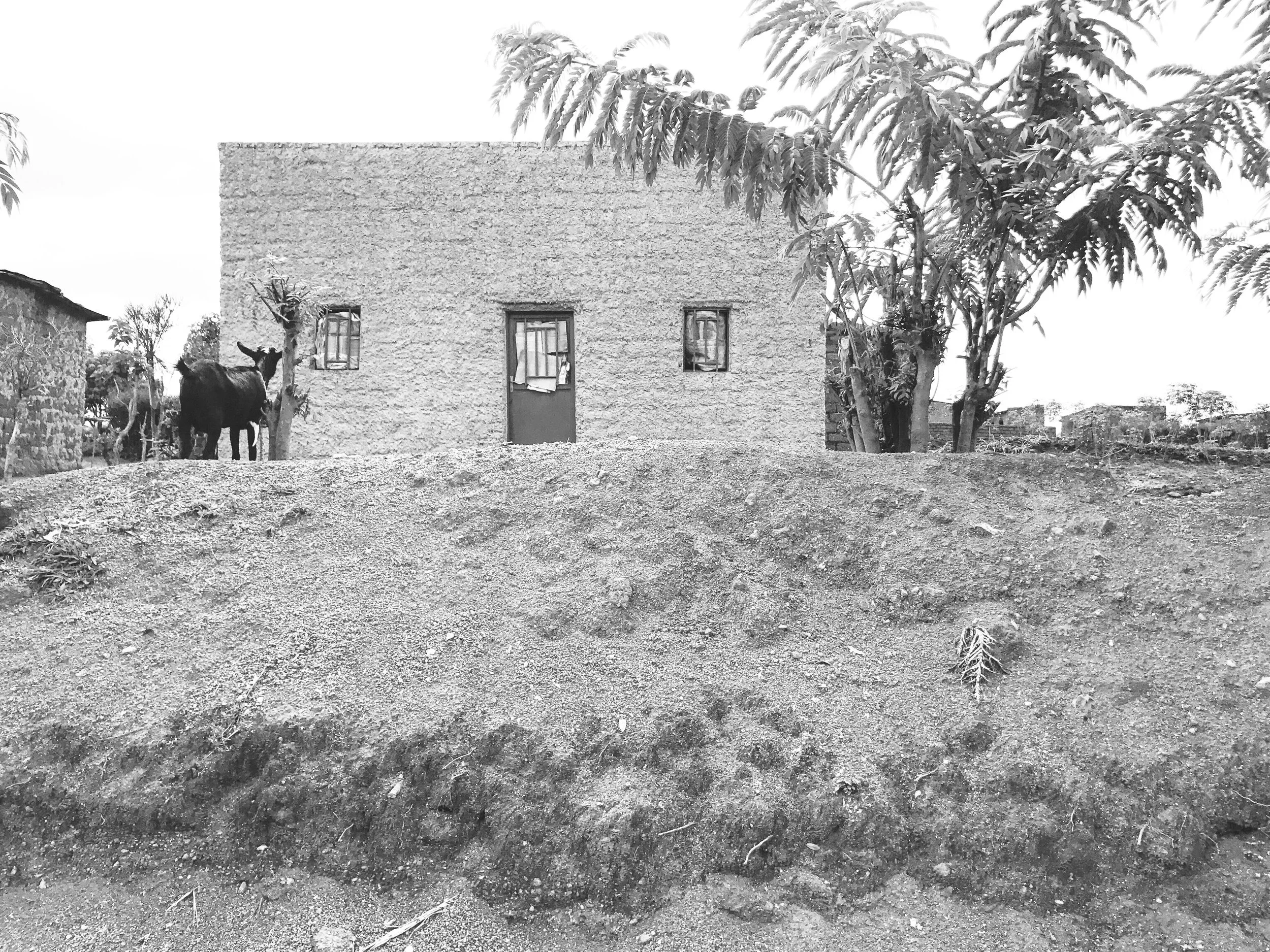 Bugesera, Rwanda, 2017