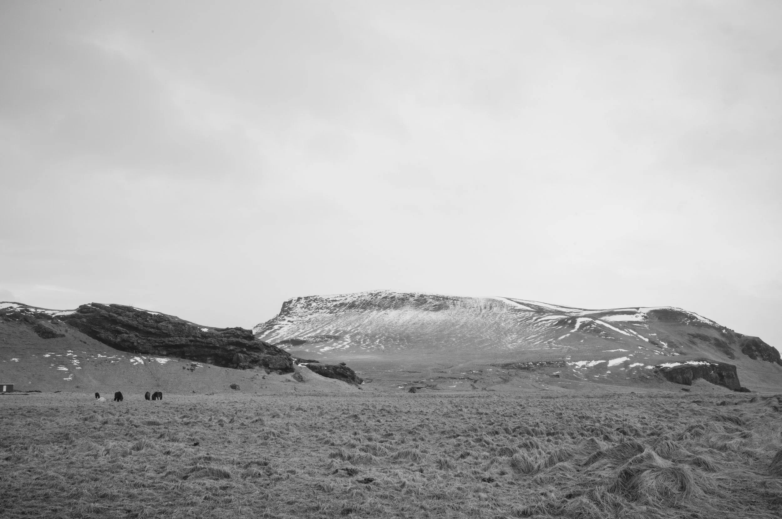 Skeiðflötur, Iceland, 2024