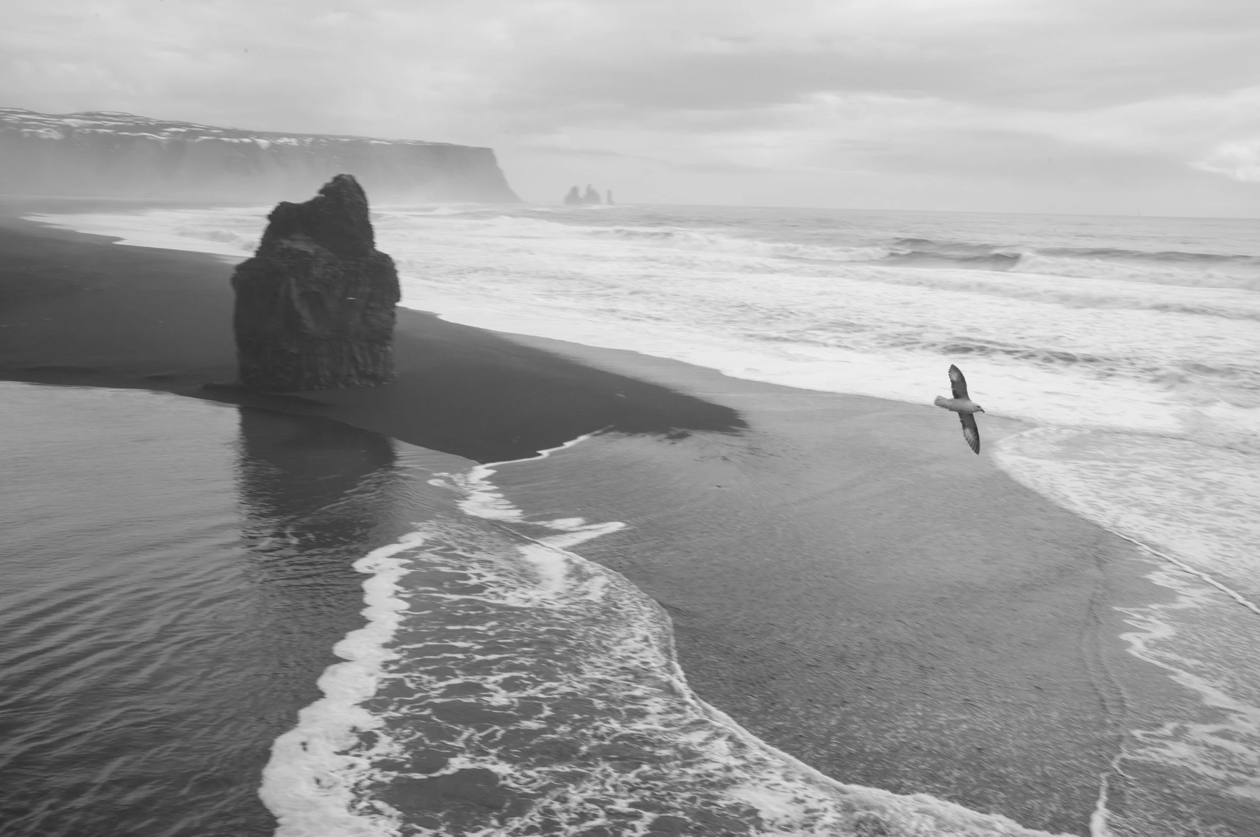 Dyrhólaey, Iceland, 2024