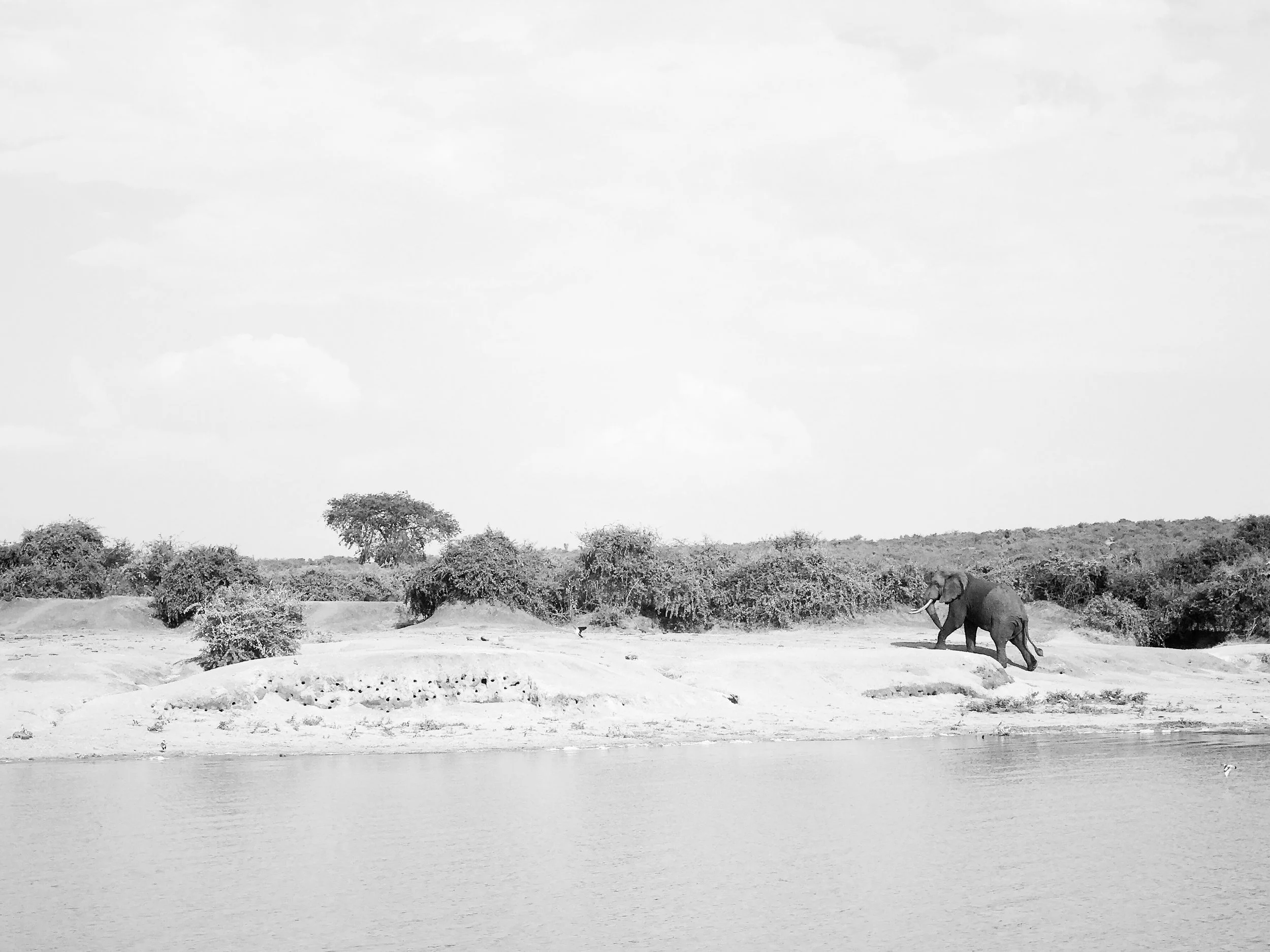 Kyambura, Uganda, 2017