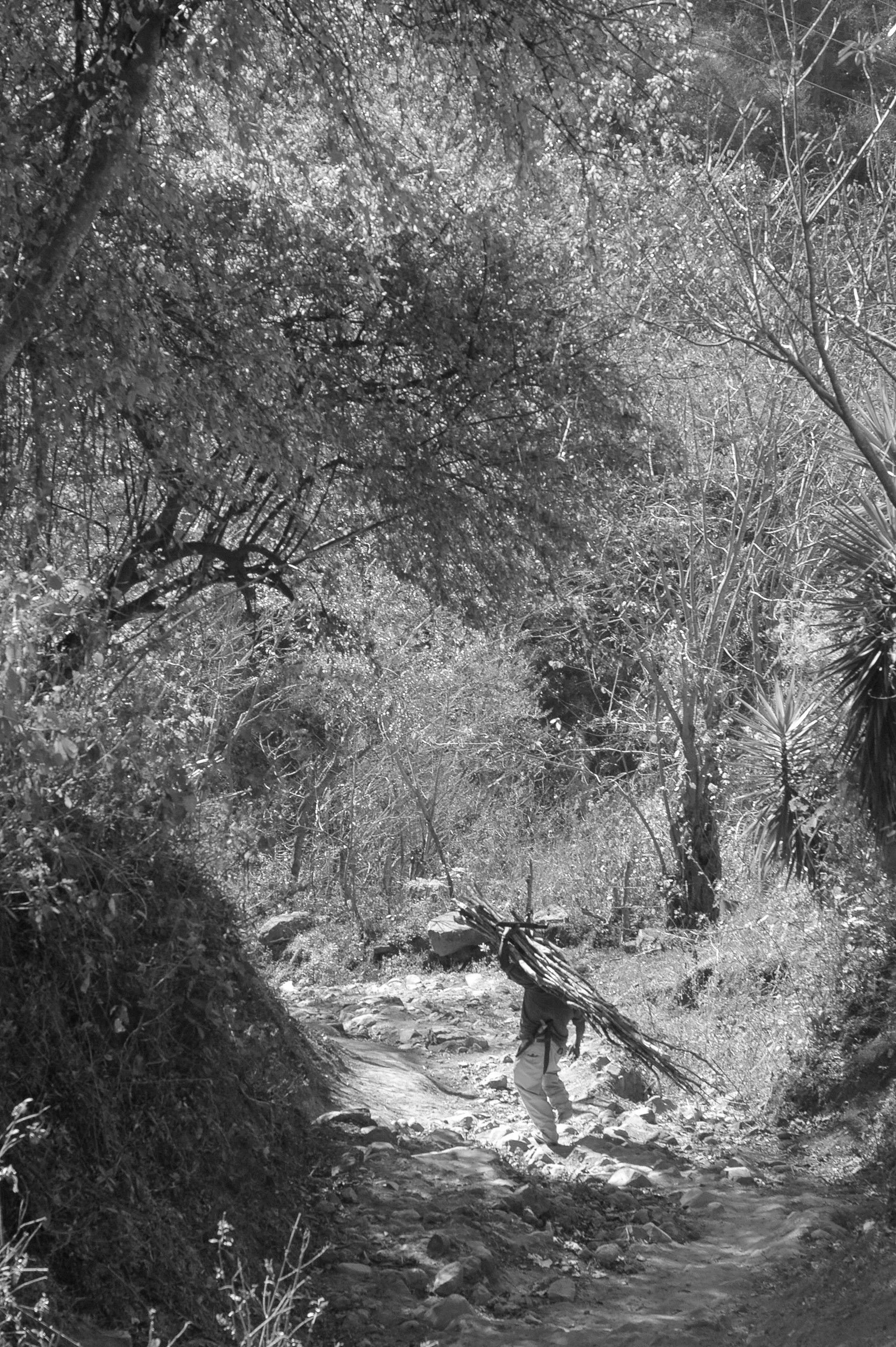 Madriz, Nicaragua, 2007