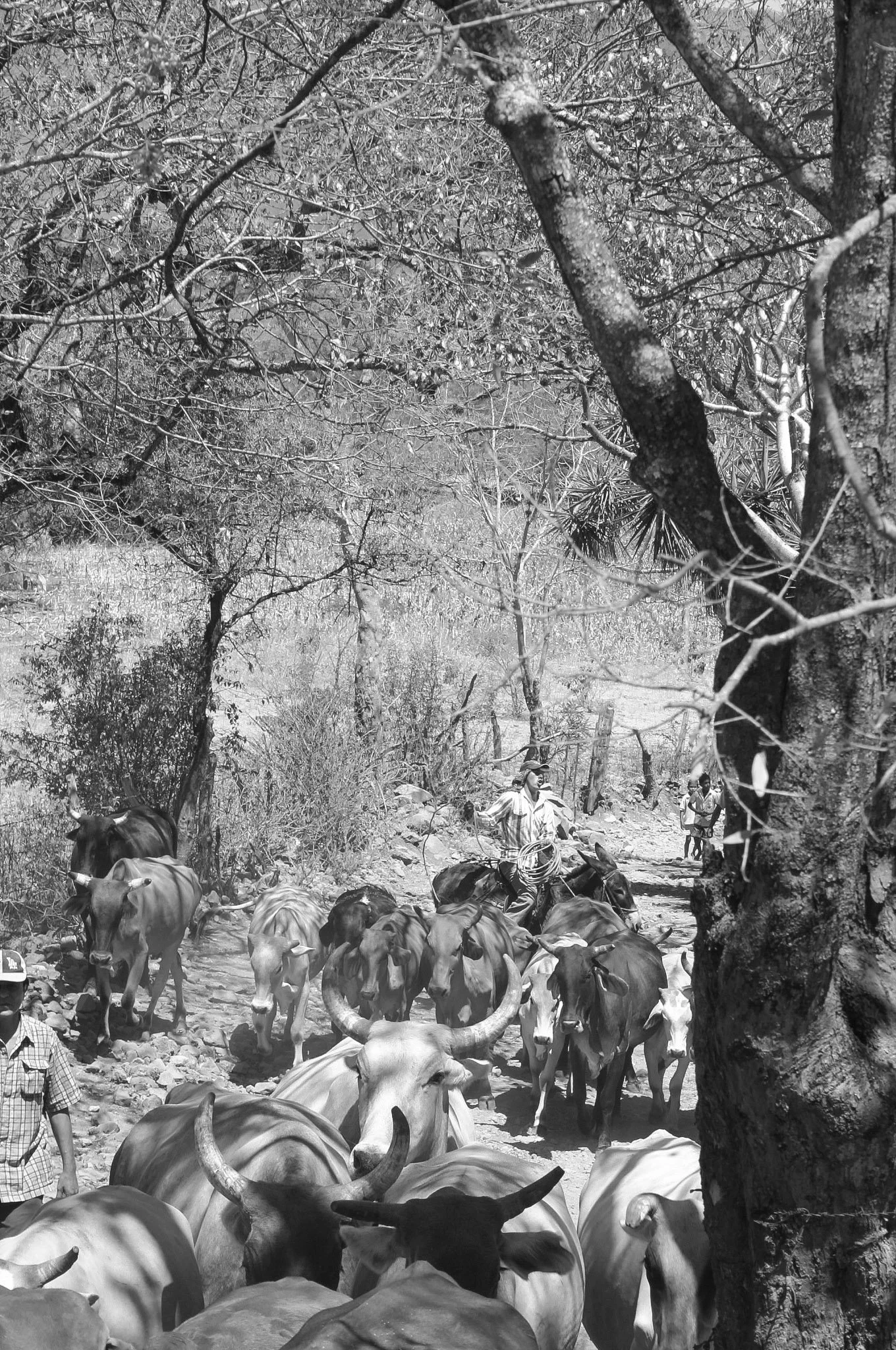 Madriz, Nicaragua, 2007