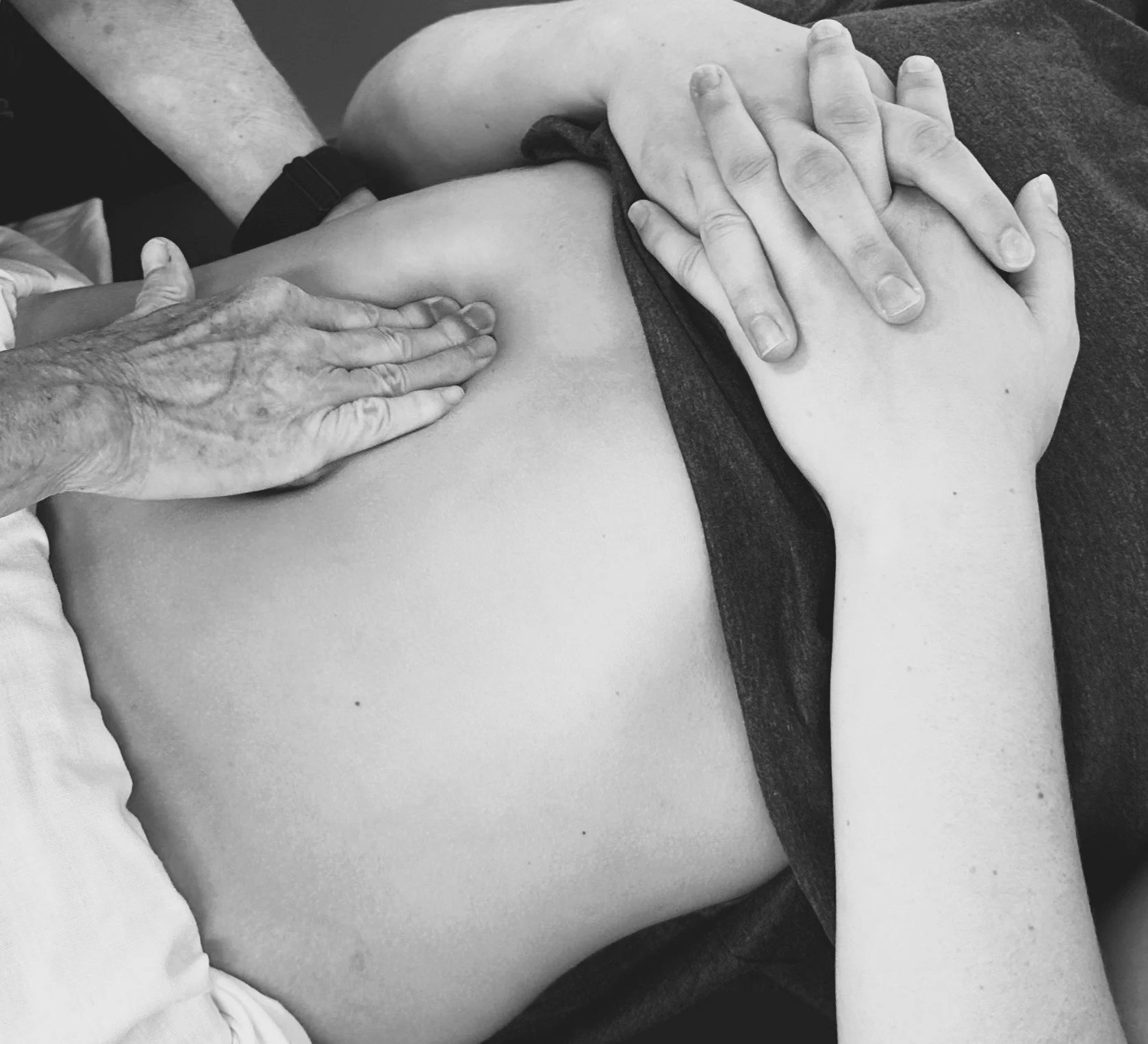 Fast Track to Pelvic Health Practice: A Physical Therapy Clinical Application Course