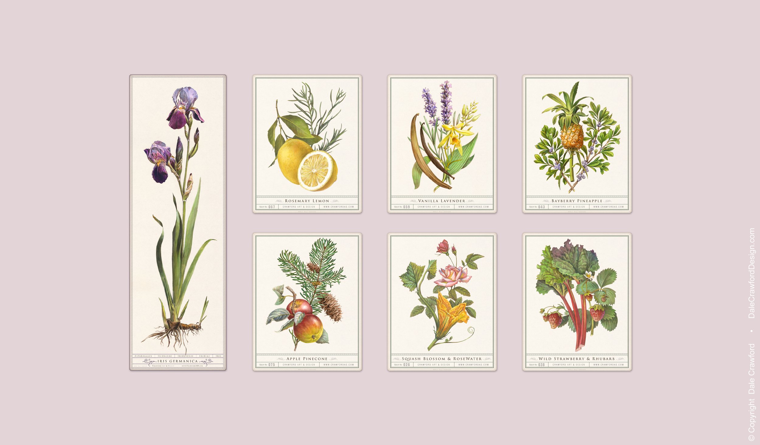 01Art-Botanicals.jpg