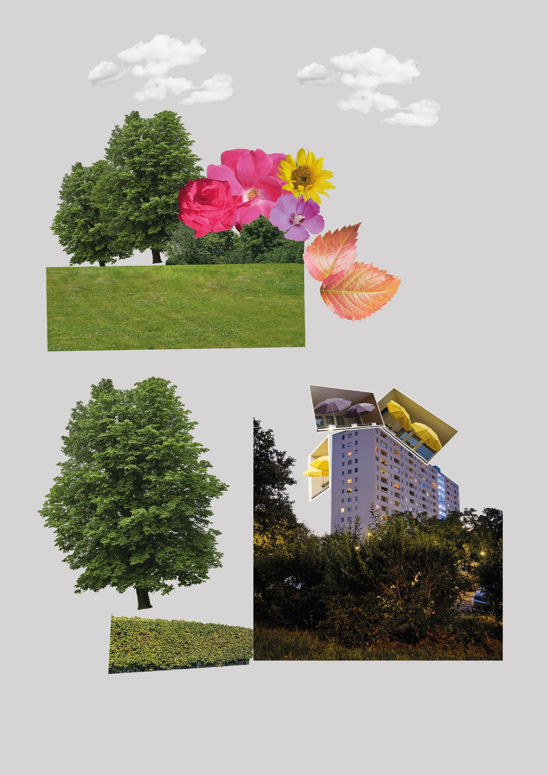 „Viele Leute kommen in einer Gemeinschaft zusammen, unterstützen sich vielleicht – und wer mag, kann sich oben auf dem Dach sonnen.“  - Nancy (56) 