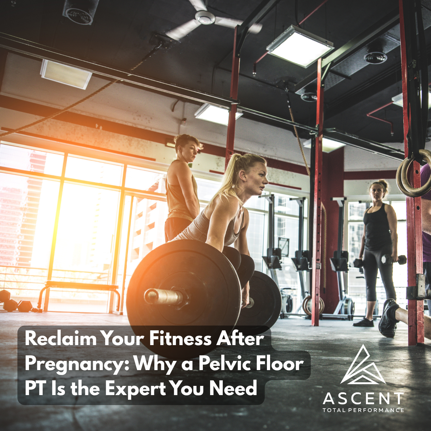 Reclaim Your Fitness After Pregnancy: Why a Pelvic Floor PT Is the Expert You Need