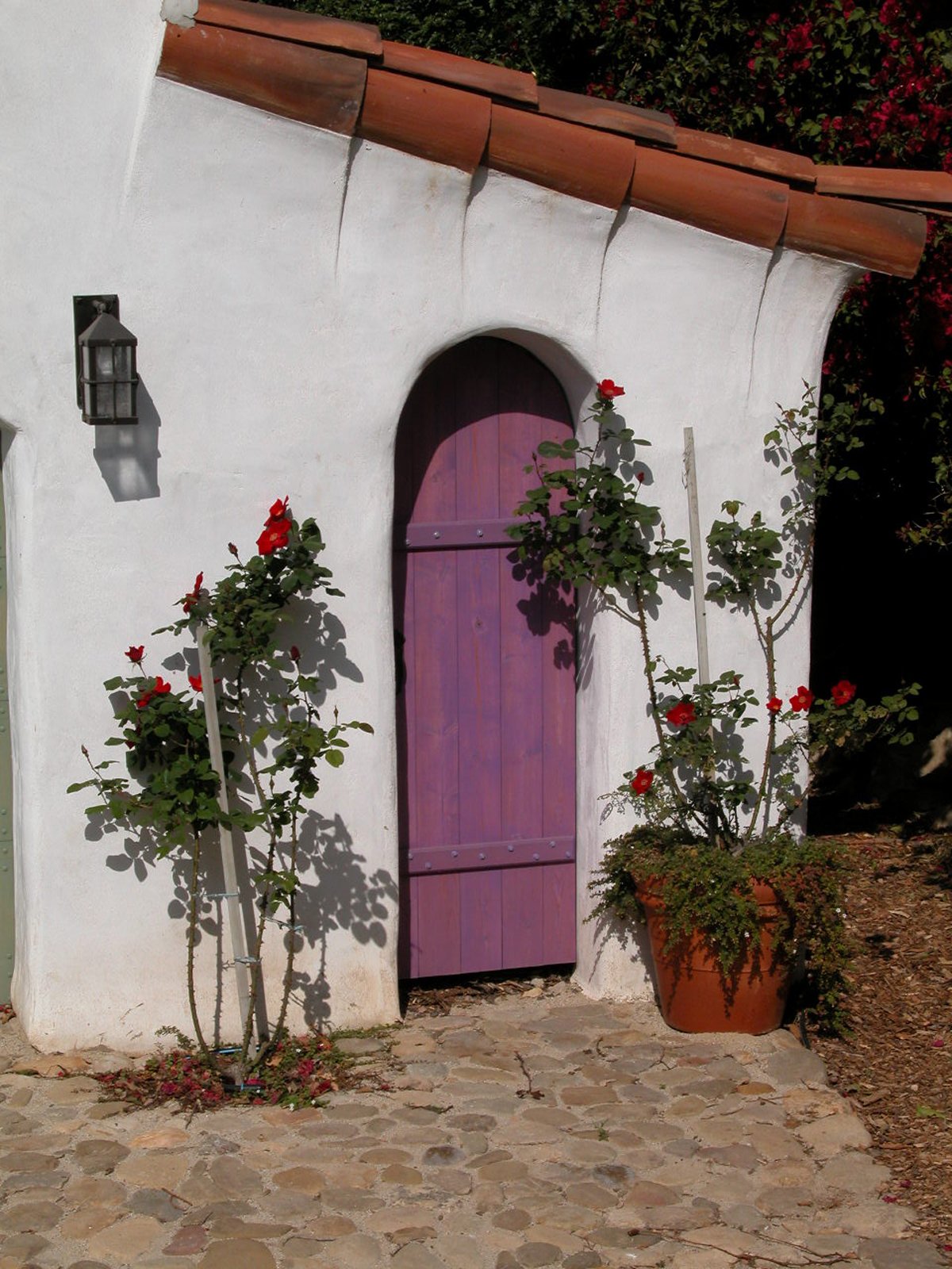 Tierney_Exterior1006.JPG