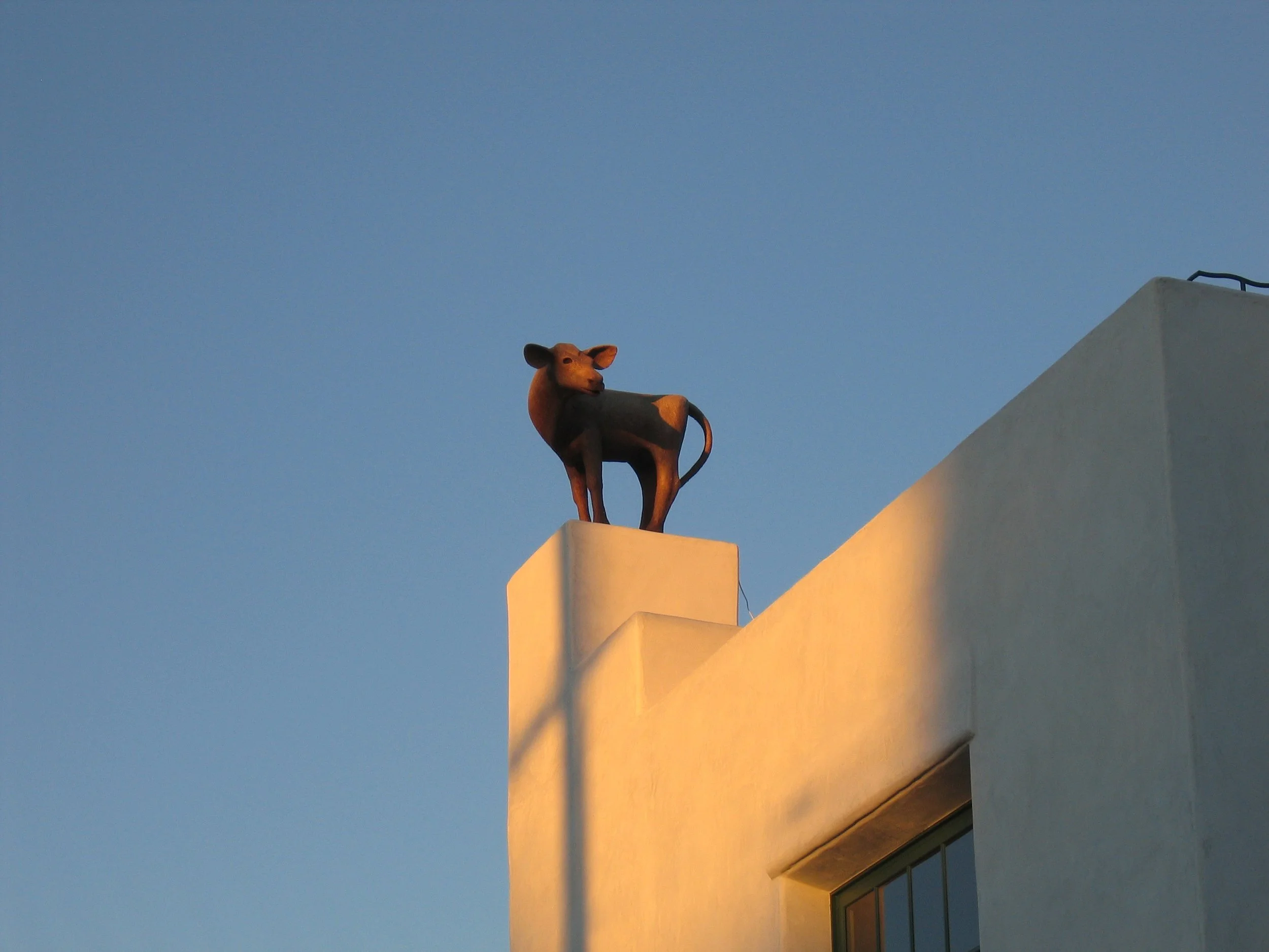 Small Cow House_Exterior1010.jpg